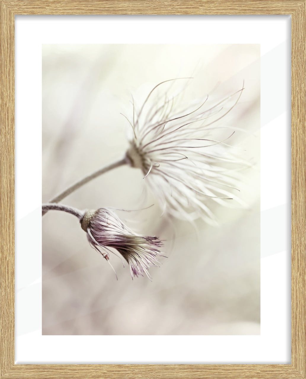 The Wall - the art of framing AG Bilderrahmen Bilderrahmen Holz Arosa eiche hell 40 x 50 cm