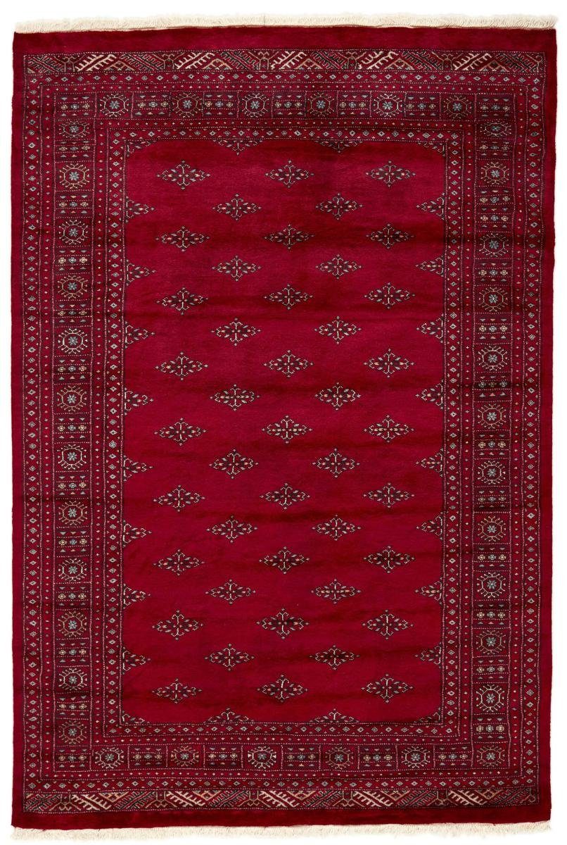 Orientteppich Pakistan Buchara 3ply 175x256 Handgeknüpfter Orientteppich, Nain Trading, rechteckig, Höhe: 8 mm