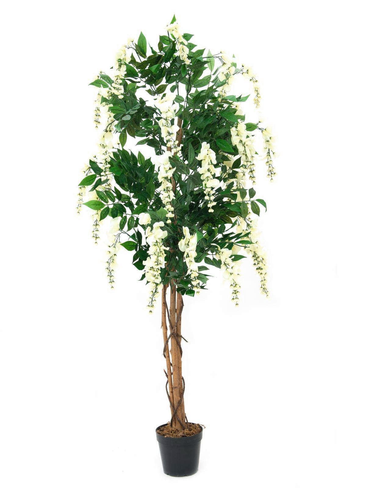 Kunstbaum Künstlicher Goldregenbaum, 1370 Blätter, Echtstamm, weiß, 180cm Goldregen, artplants, Höhe 180.0 cm