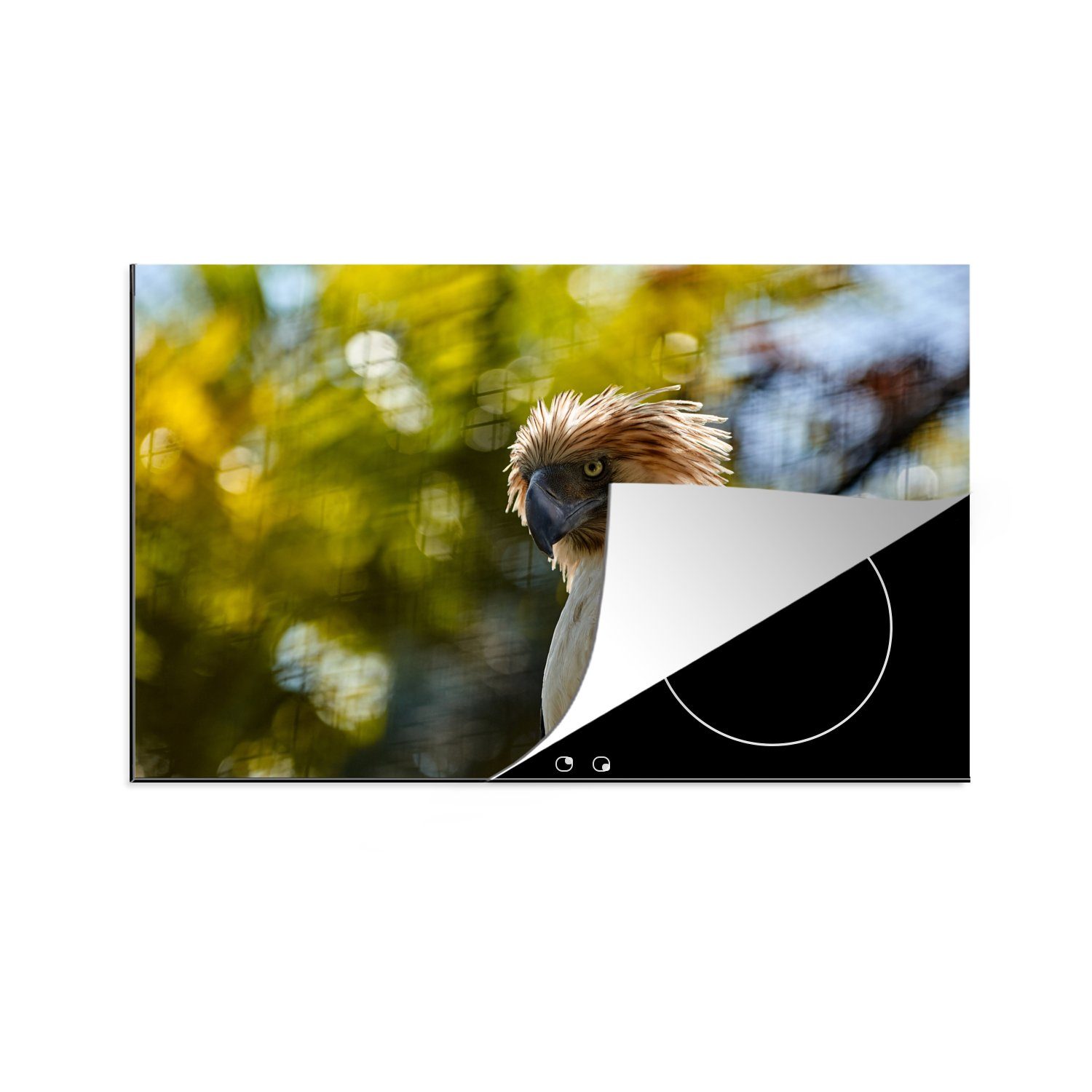 MuchoWow Herdblende-/Abdeckplatte Philippinischer Affenadler bei die 81x52 tlg), Sonnenaufgang, Vinyl, (1 für Induktionskochfeld Ceranfeldabdeckung küche, cm, Schutz