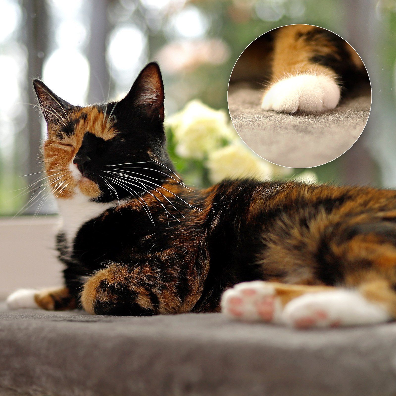 Thumbnail - lionto Futternapf Fensterbankliege für Katzen, versch. Farben, dunkelgrau, abnehmbarer Bezug, waschbar