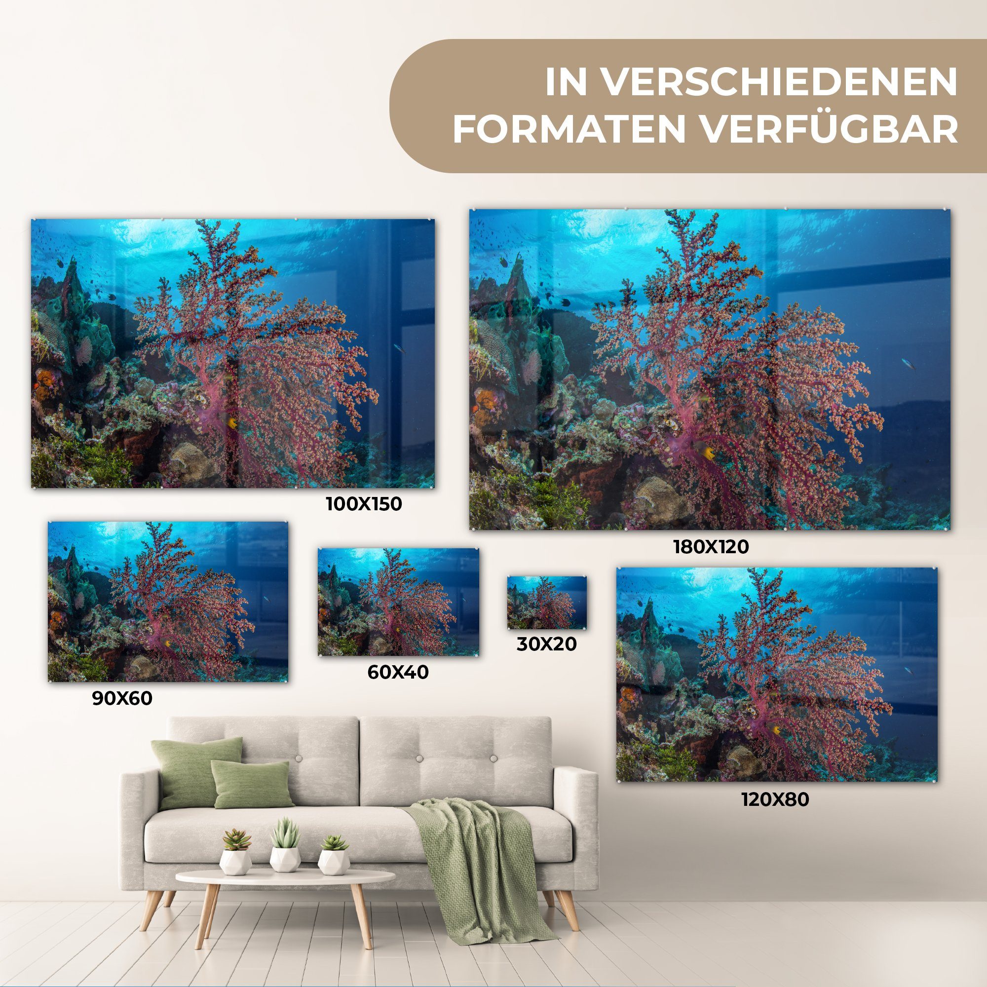 Wakatobi-Nationalpark, MuchoWow Koralle (1 Acrylglasbild einer im St), Schlafzimmer & Wohnzimmer Acrylglasbilder Nahaufnahme