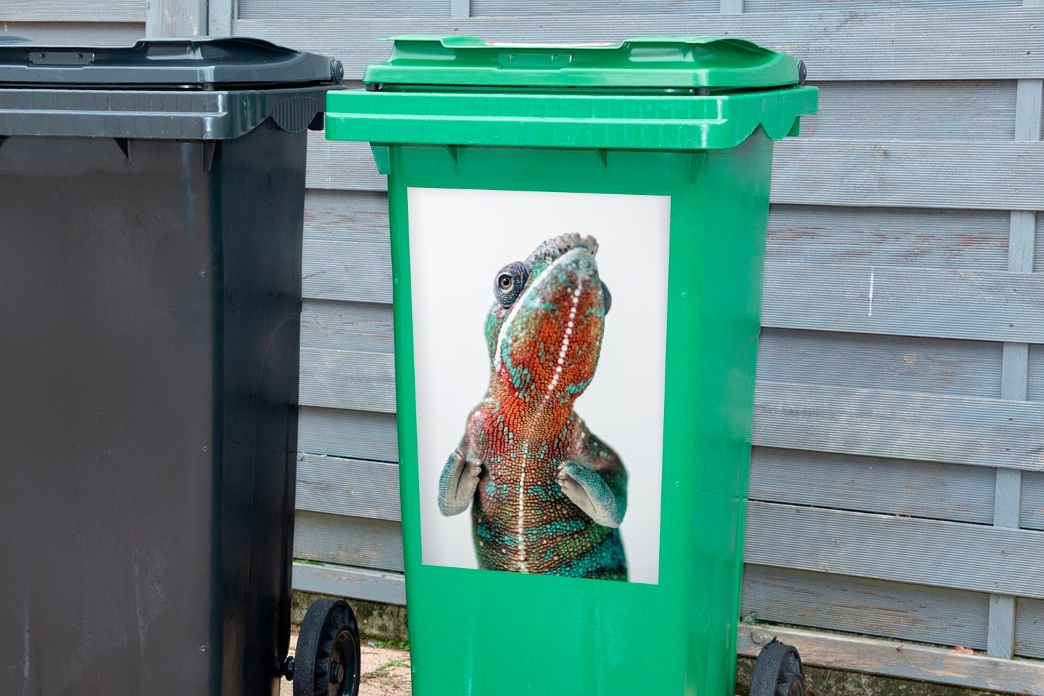 St), Container, (1 Mülltonne, Chamäleon mit Mülleimer-aufkleber, rotem Bauch Abfalbehälter Wandsticker MuchoWow Sticker,