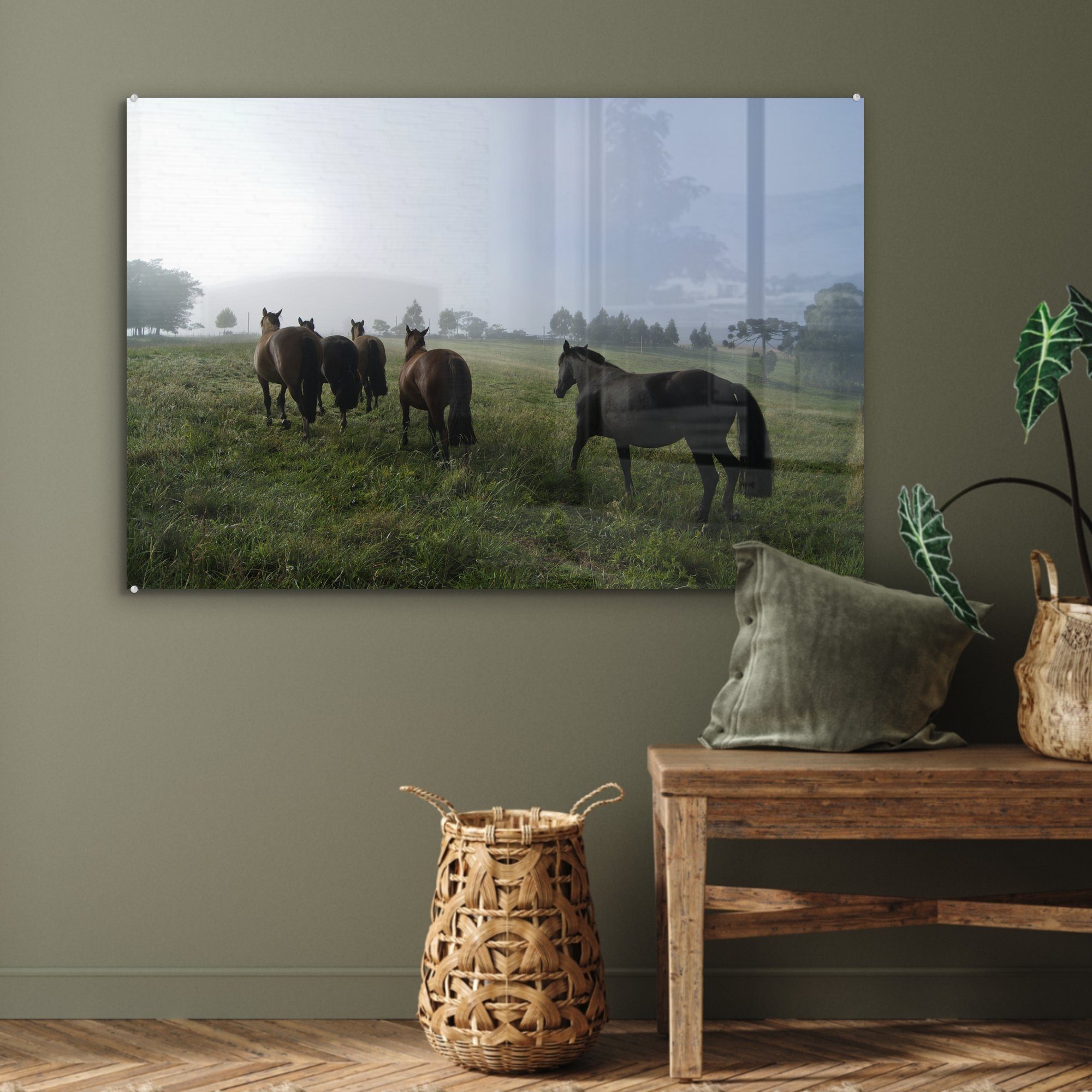 MuchoWow Acrylglasbild Pferde - Criollo Acrylglasbilder & Gras, (1 - Schlafzimmer St), Wohnzimmer