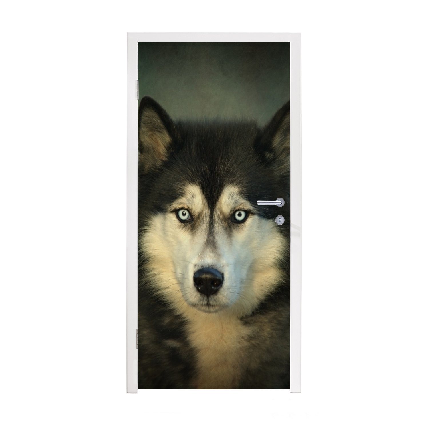MuchoWow Türtapete Husky schaut in die Kamera, Matt, bedruckt, (1 St), Fototapete für Tür, Türaufkleber, 75x205 cm