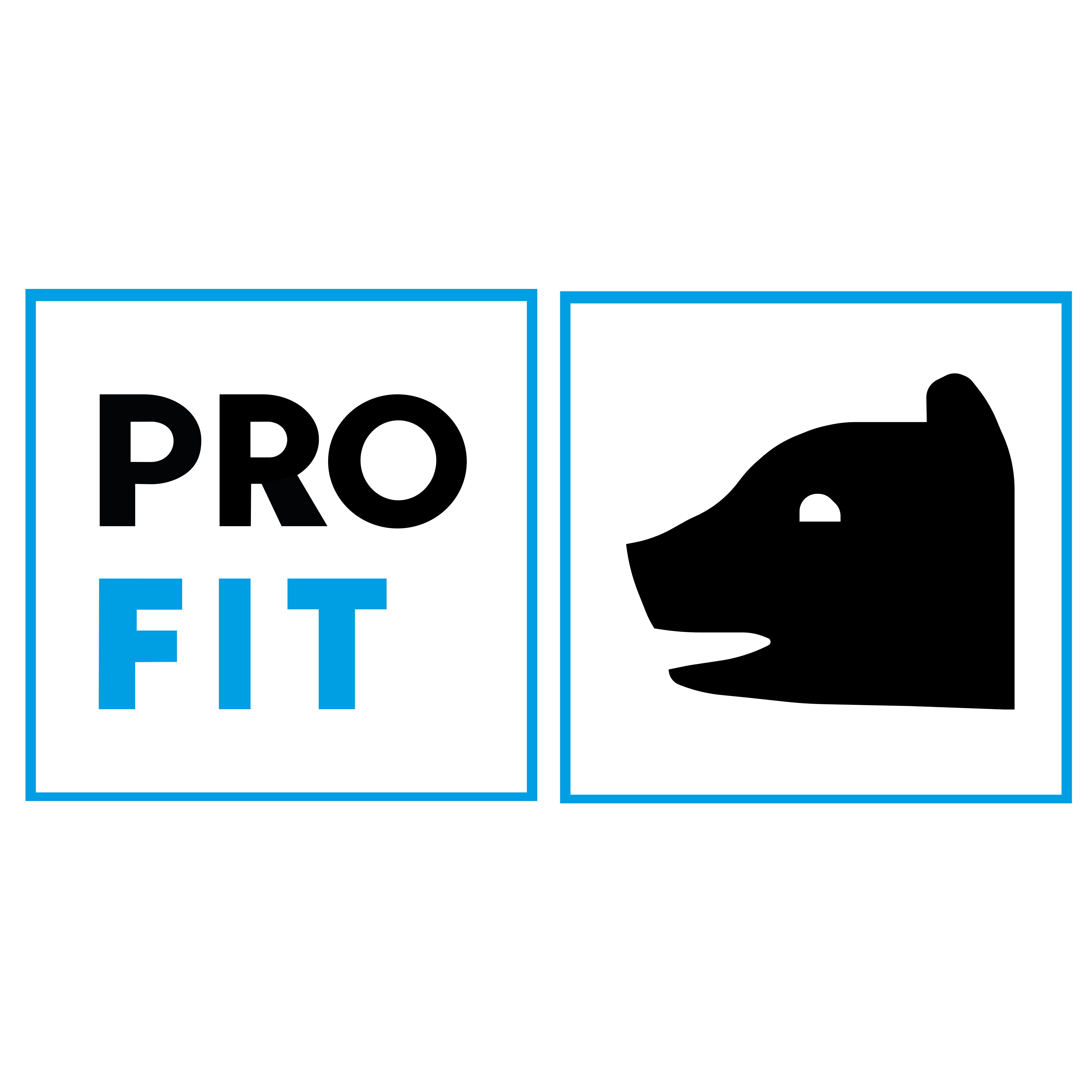 PRO FIT by Fitzner