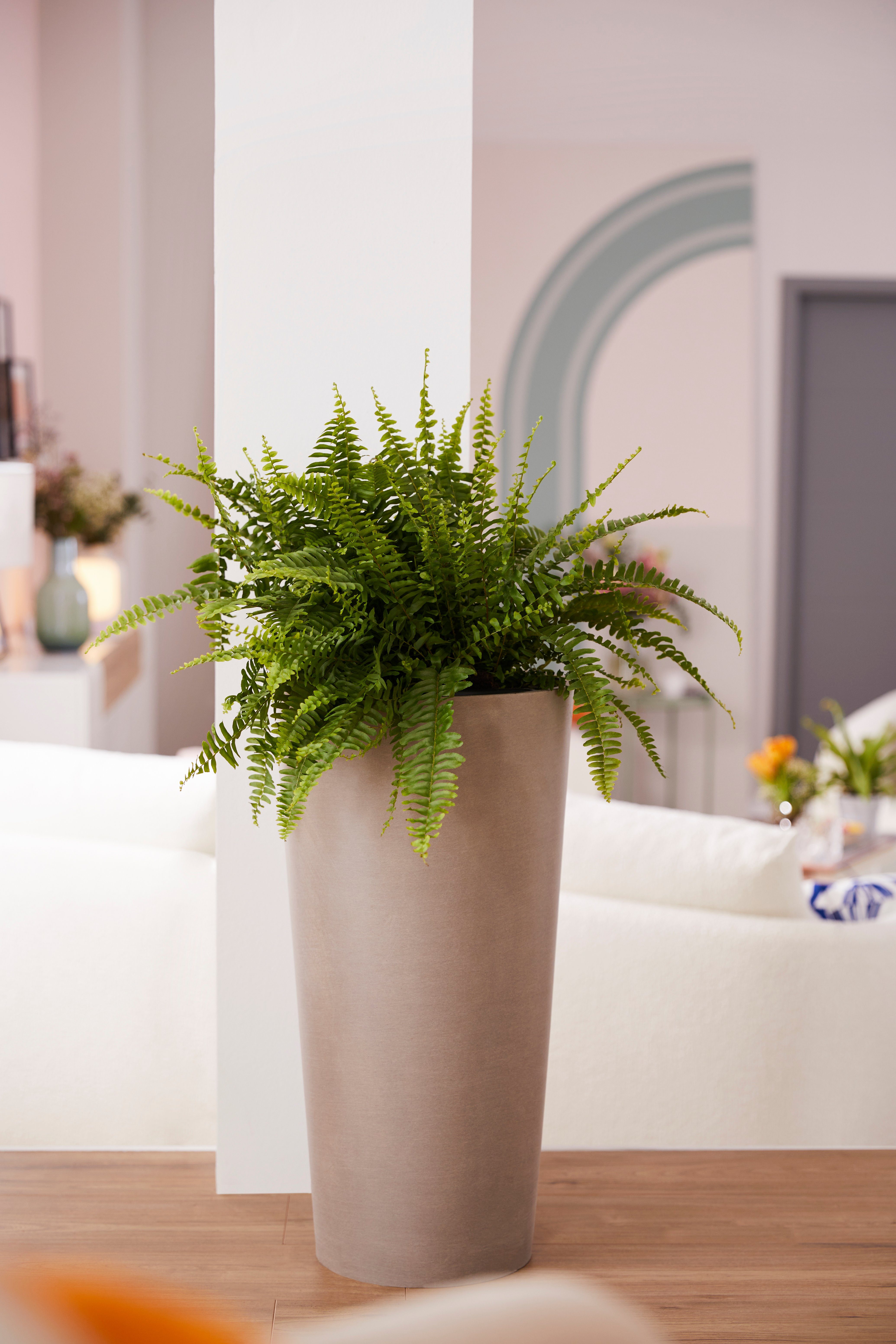 ECOPOTS Blumentopf AMSTERDAM MID HIGH Taupe, günstig online kaufen