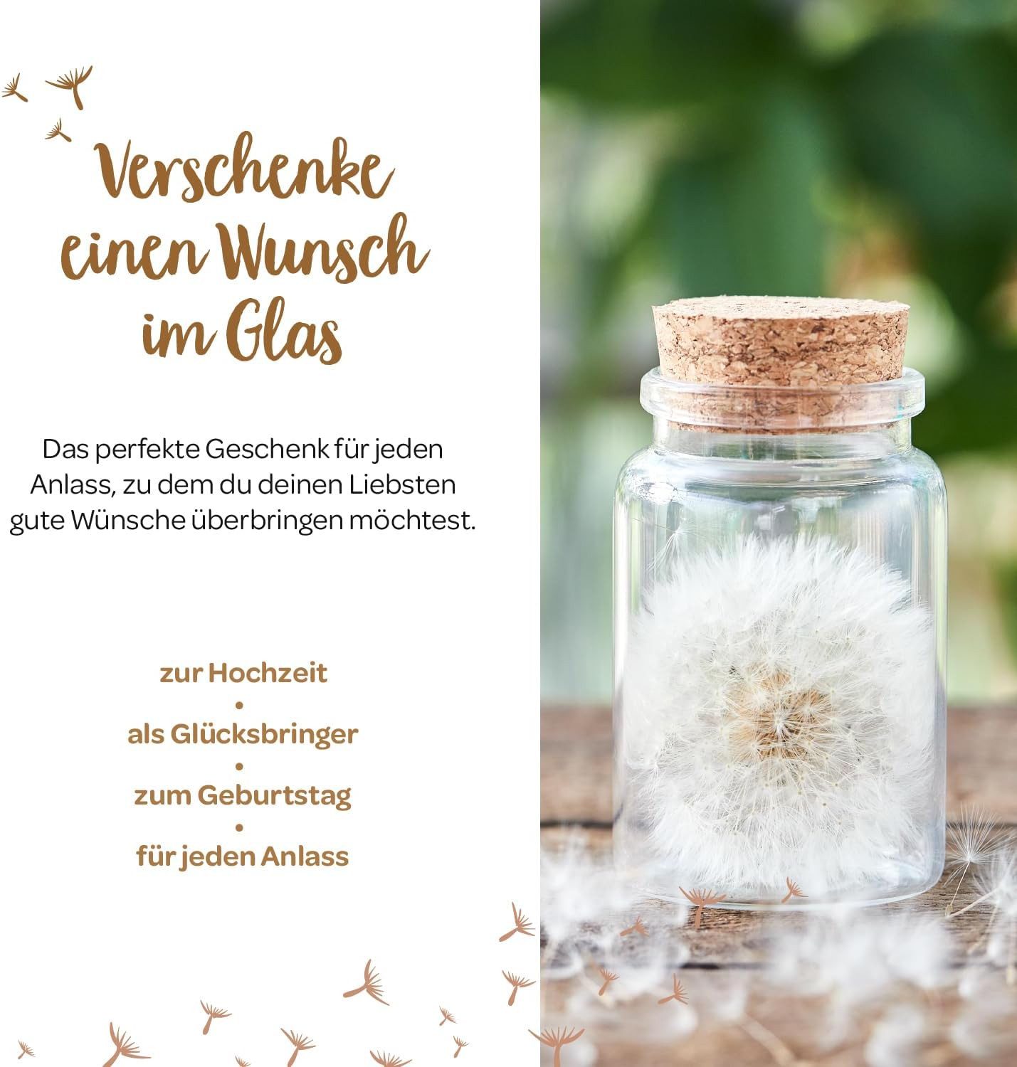 Trockenblume Wunscherfüller, Perfekte Geschenkidee für jeden Anlass Pusteblume, Die Stadtgärtner, Echte Pusteblume – Bild 3 von 5