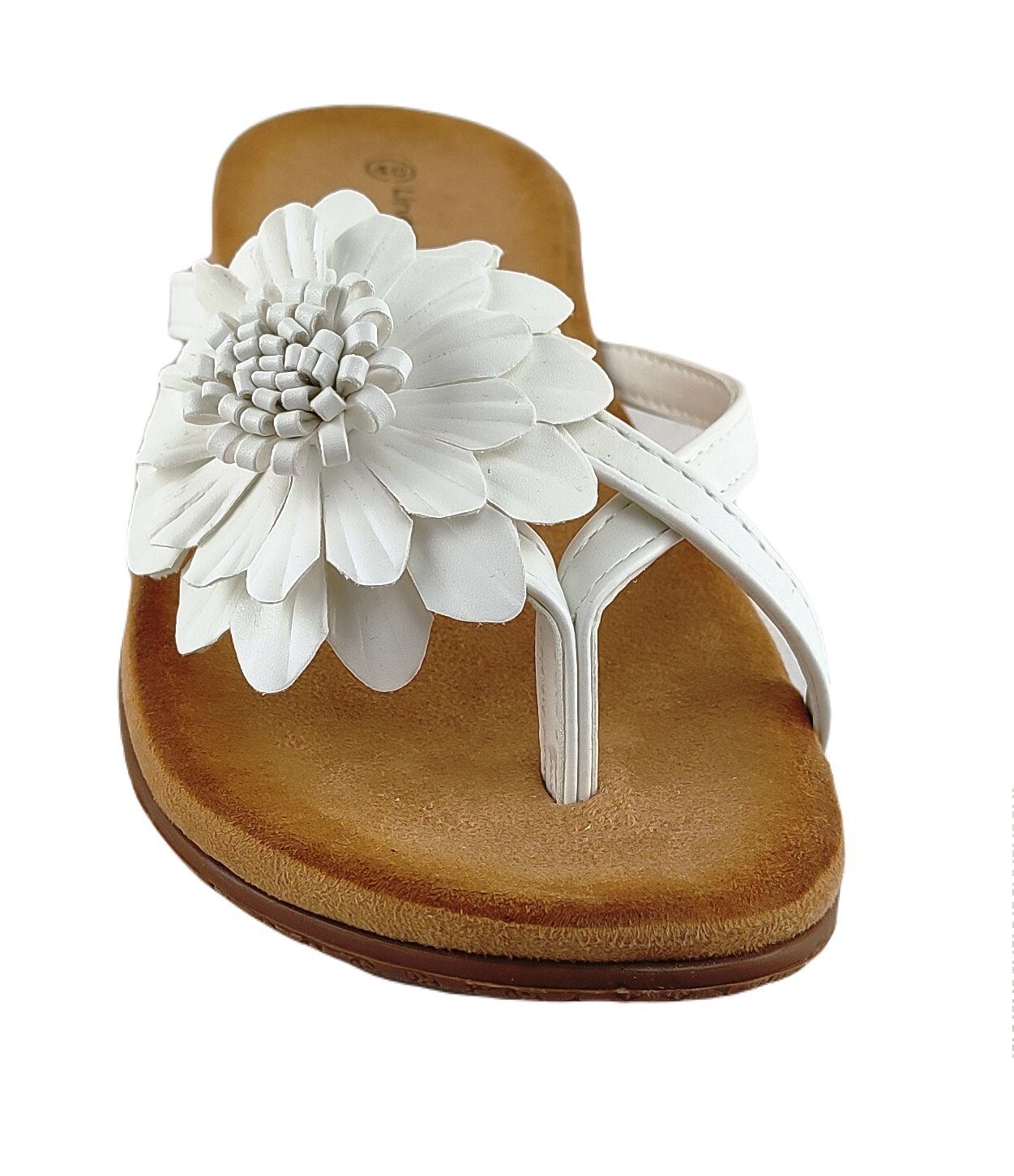 Linea Scarpa Linea Scarpa Pantolette Murano günstig online kaufen