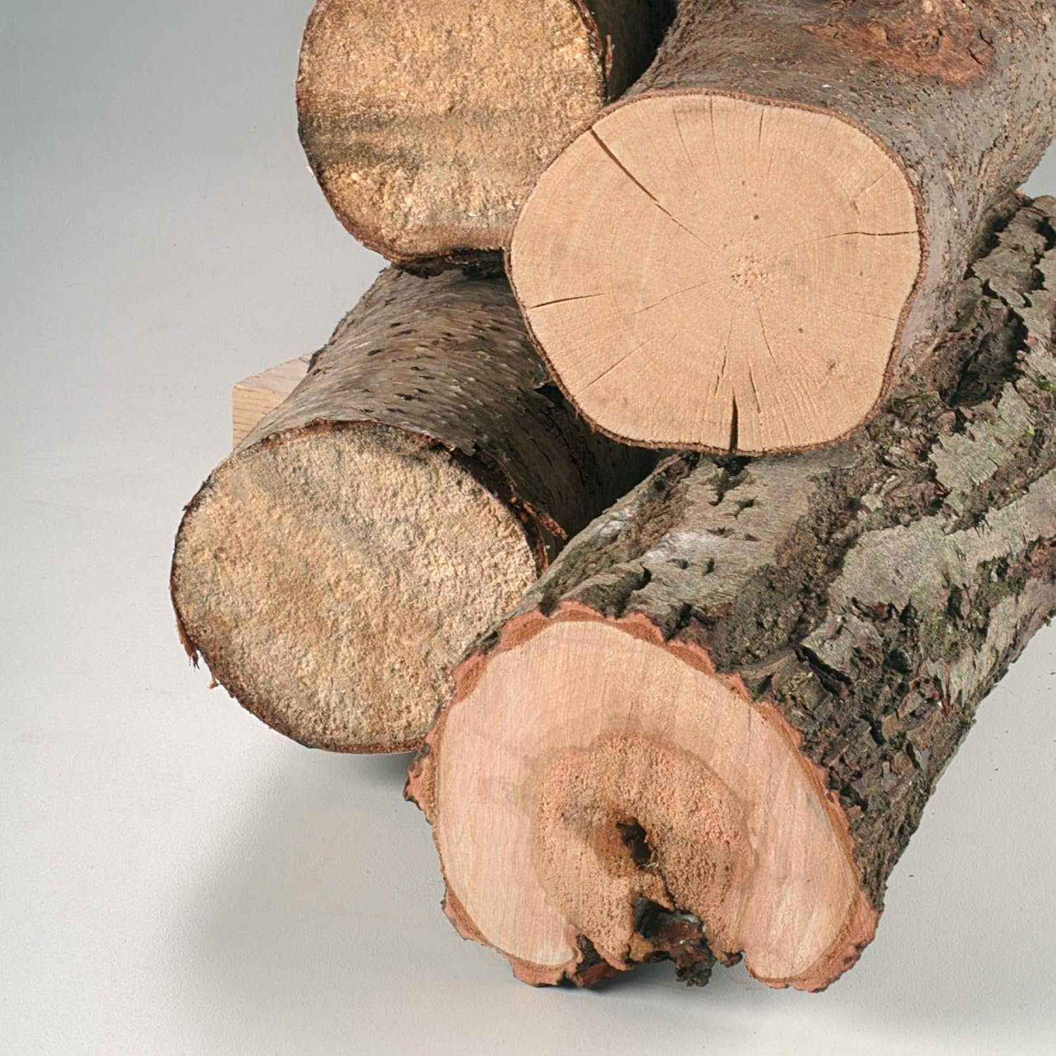 BOSCH Bohrfutter Säbelsägeblatt S Bosch HCS Wood D Holz 644 for in zum x 2 Top Sägen