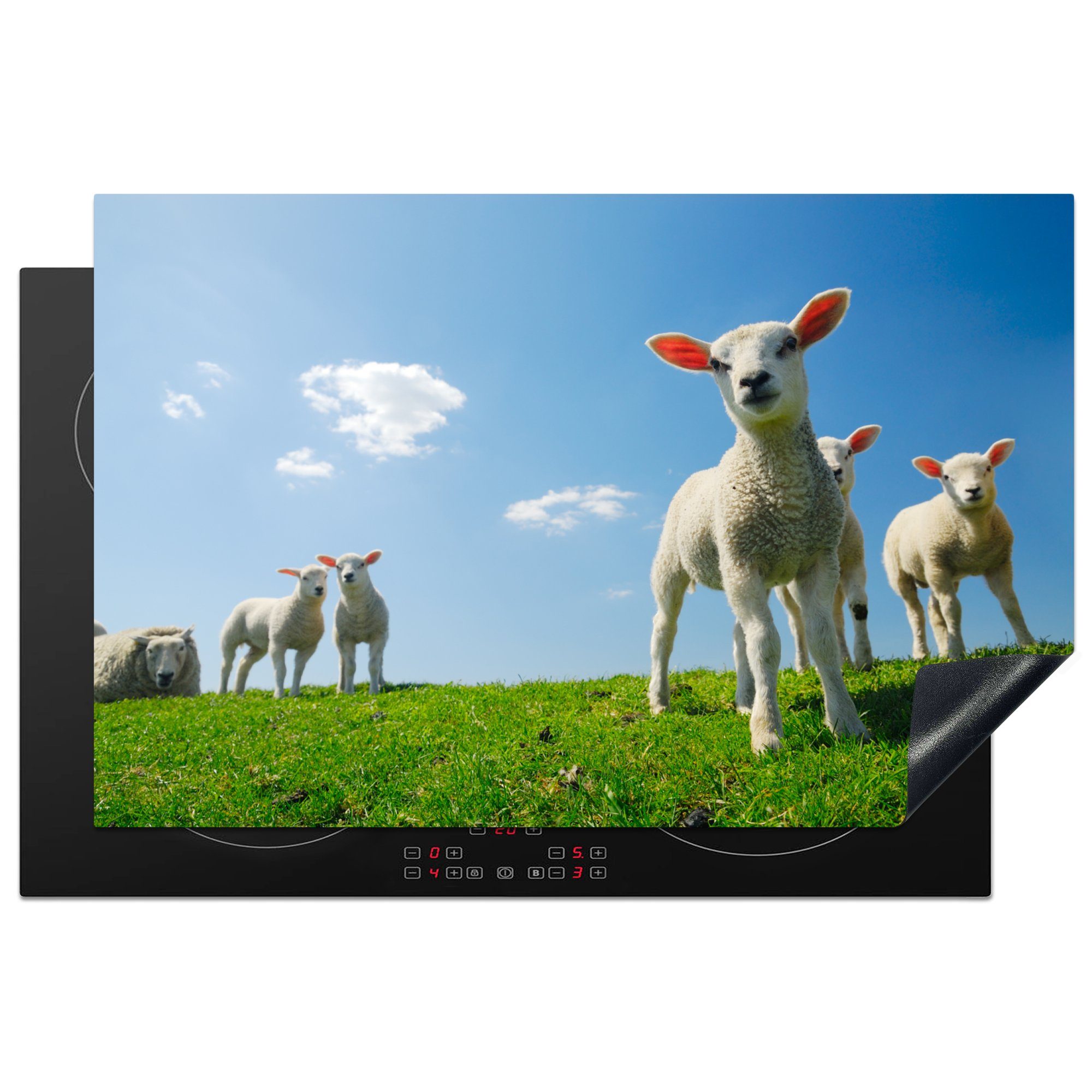Herdblende-/Abdeckplatte 81x52 (1 Ceranfeldabdeckung Schutz Induktionskochfeld küche, Vinyl, Frühling Schafe für die Landschaft, - cm, - tlg), MuchoWow