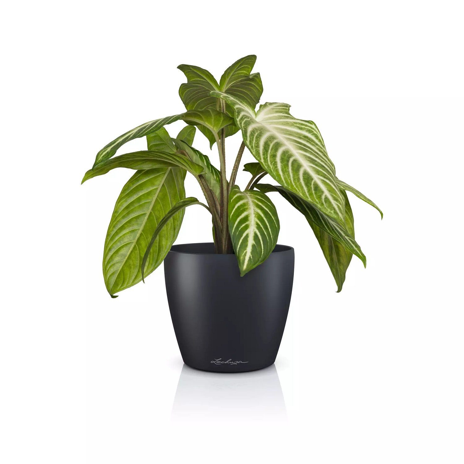 Lechuza® Übertopf Classico Color 14 DECO schiefergrau
