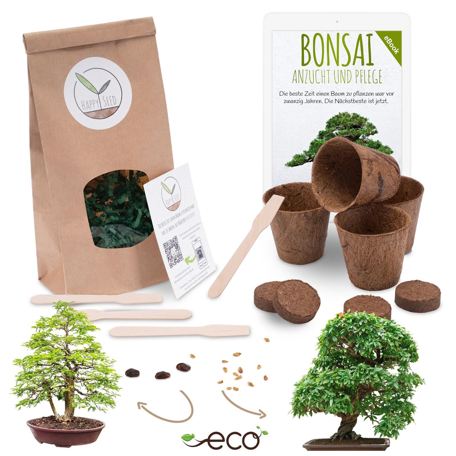 Blumensamen Bonsai Anzuchtset inkl. eBook - Pflanzset mit Granatapfel + Tamarinde