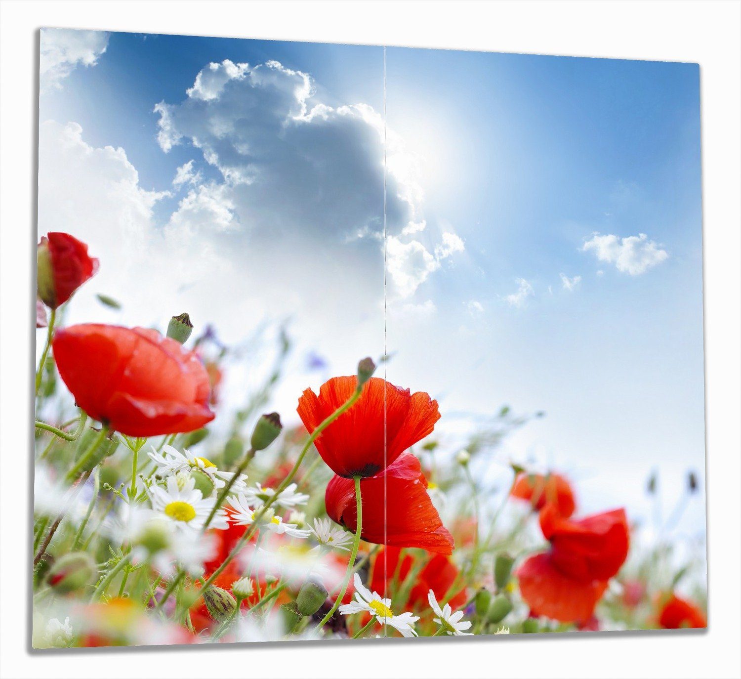 Herd-Abdeckplatte Mohnblumen unter blauem Himmel