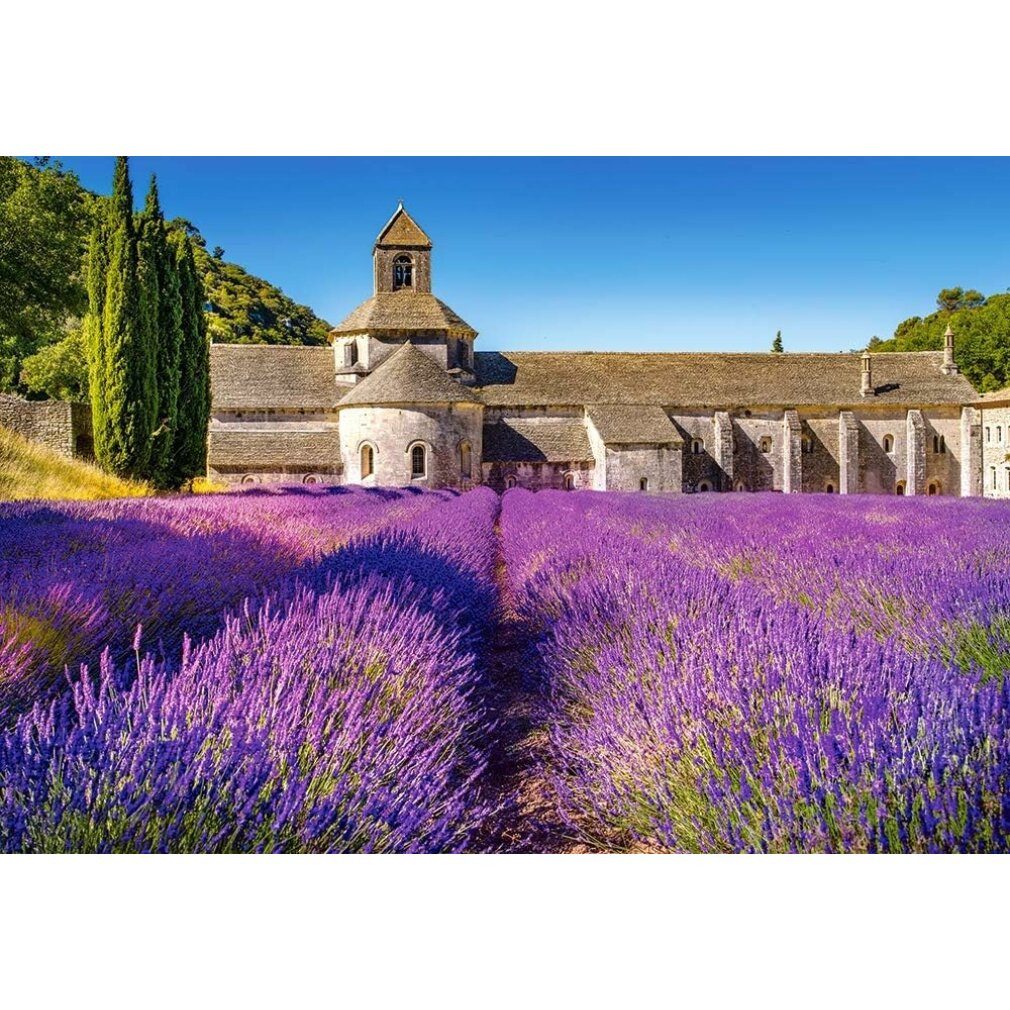 Castorland Puzzle Puzzle Lavendelfeld in der günstig online kaufen