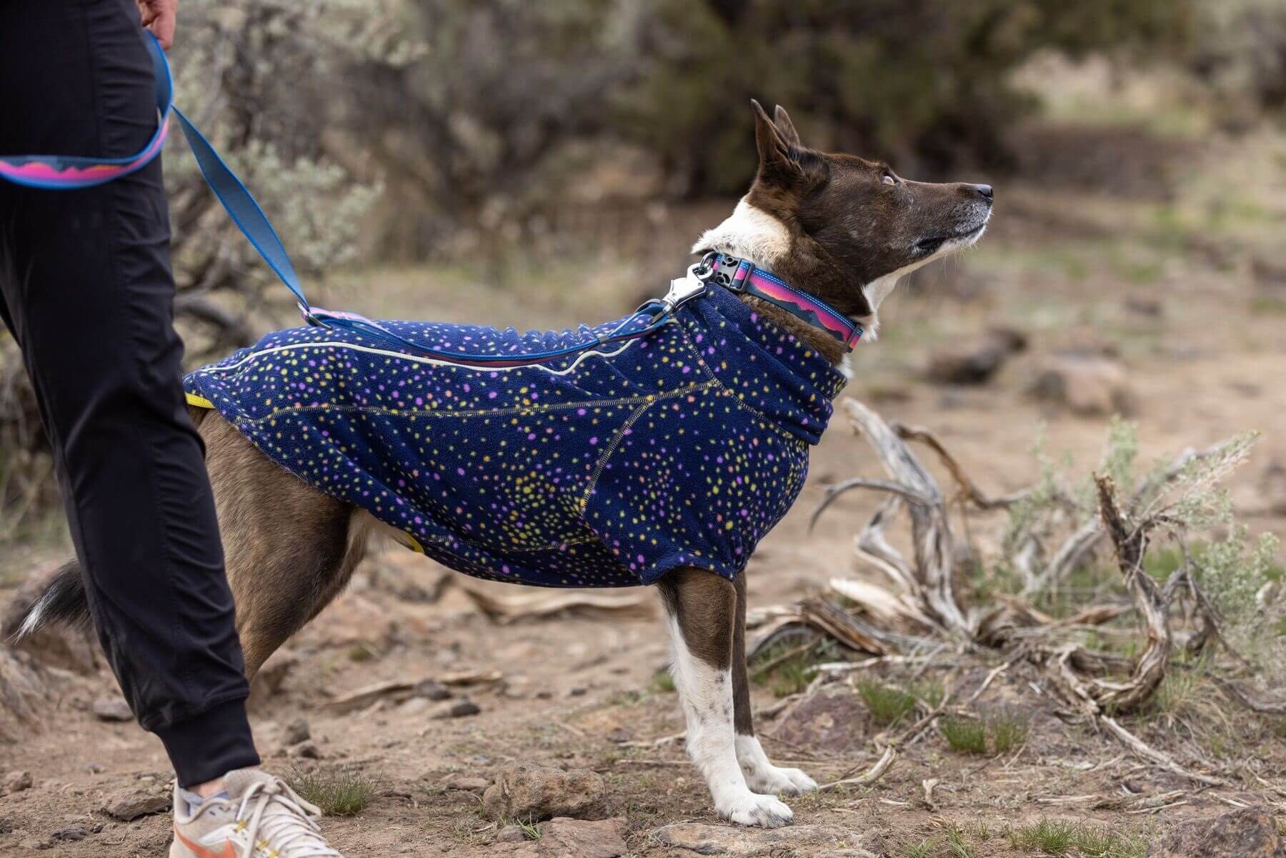Ruffwear Hunde-Halsband Crag Collar