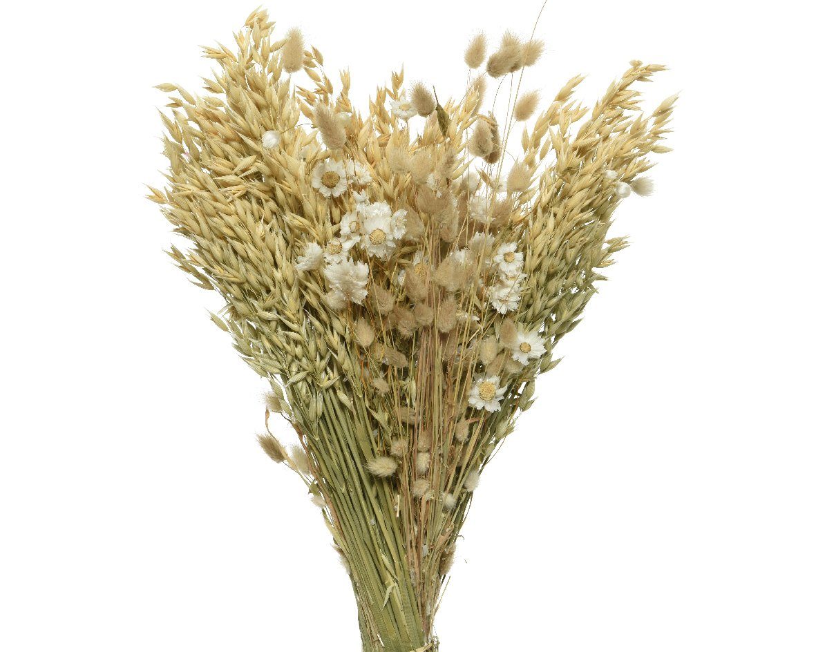 Trockenblume, Decoris season decorations, Trockenblumen Strauß Blumen und Gräser Mix 55cm weiß / beige 1 Bund