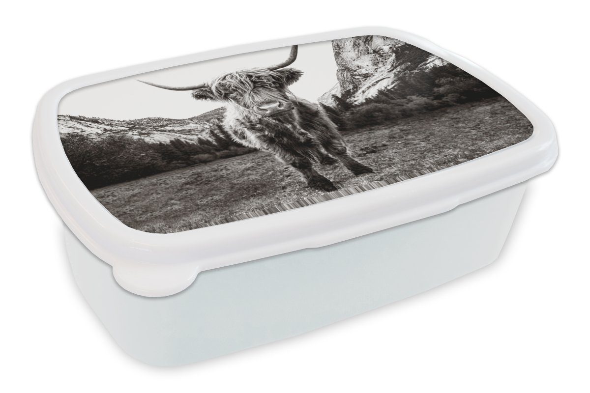 MuchoWow Lunchbox Berg - Schwarz - Weiß - Schottischer Highlander, Kunststoff, (2-tlg), Brotbox für Kinder und Erwachsene, Brotdose, für Jungs und Mädchen