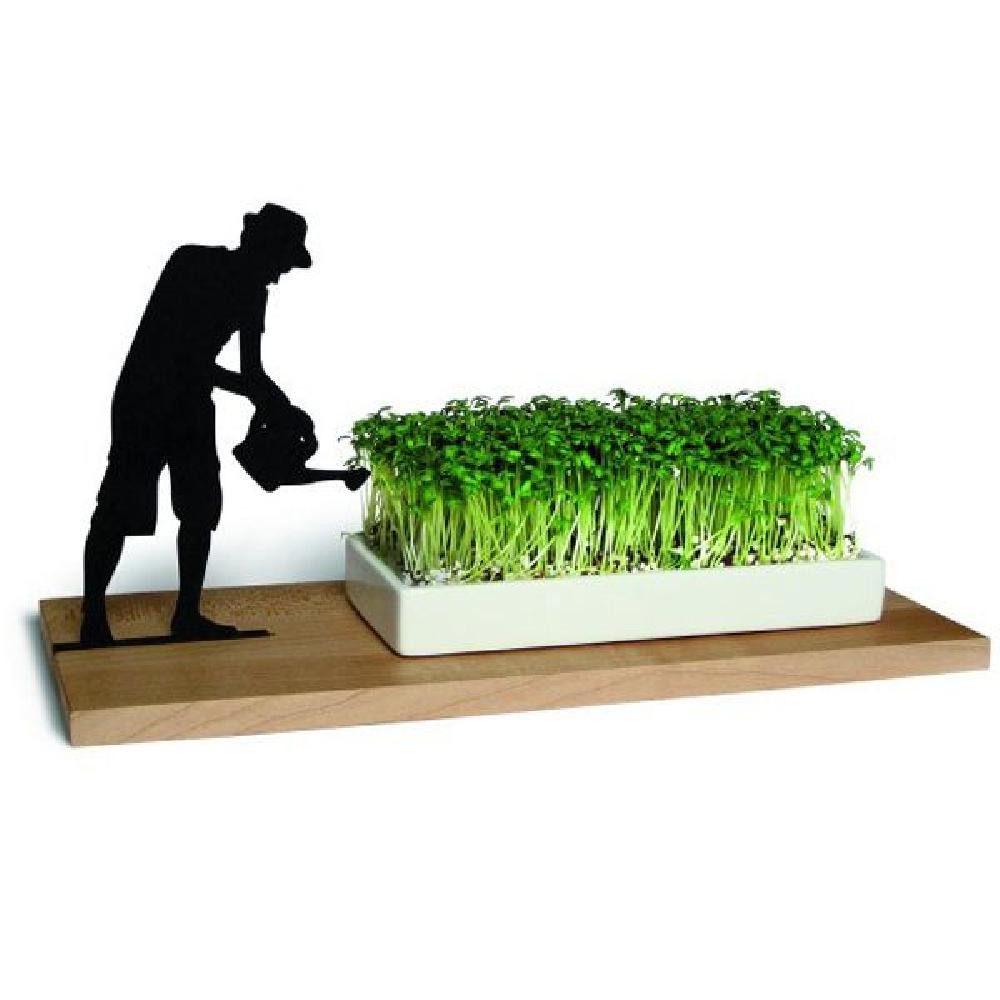 side by side Kräutertopf Kresseschale Gärtner