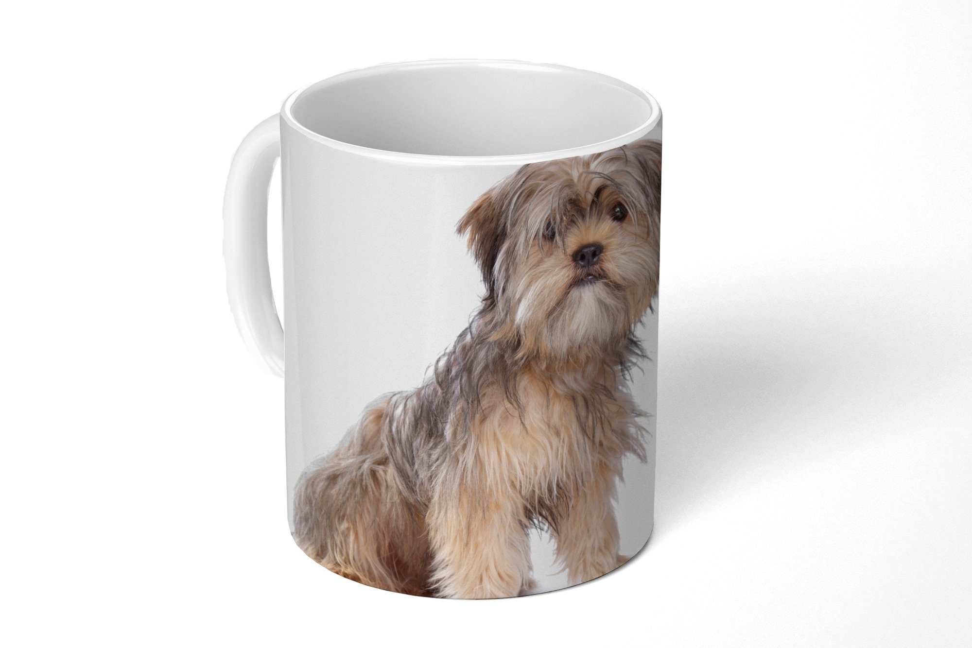MuchoWow Tasse Shih Tzu Hund auf einem weißen Hintergrund, Keramik, Kaffeetassen, Teetasse, Becher, Teetasse, Geschenk