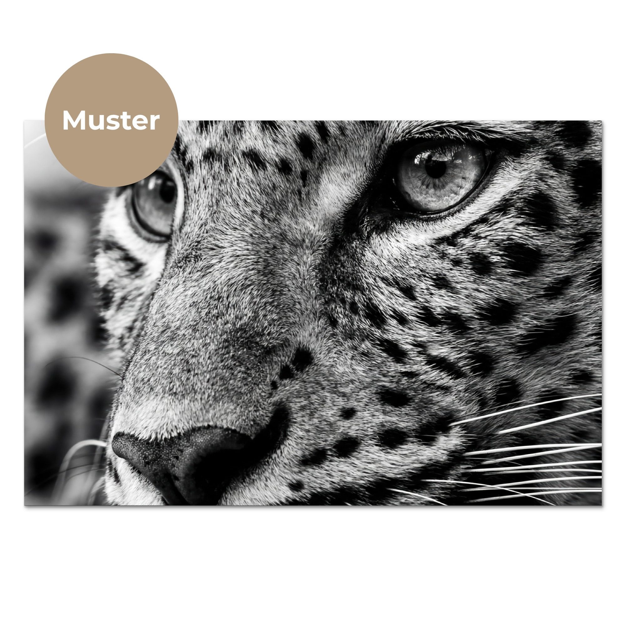 KitchenYeah Küchenrückwand Muster selbstklebend (keine Folie) Leopard - Schwarz - Weiß - Auge, (1-tlg), Spritzschutz, Küche, Rückwand, Küchenwand, Küchenfront, 30x20 cm