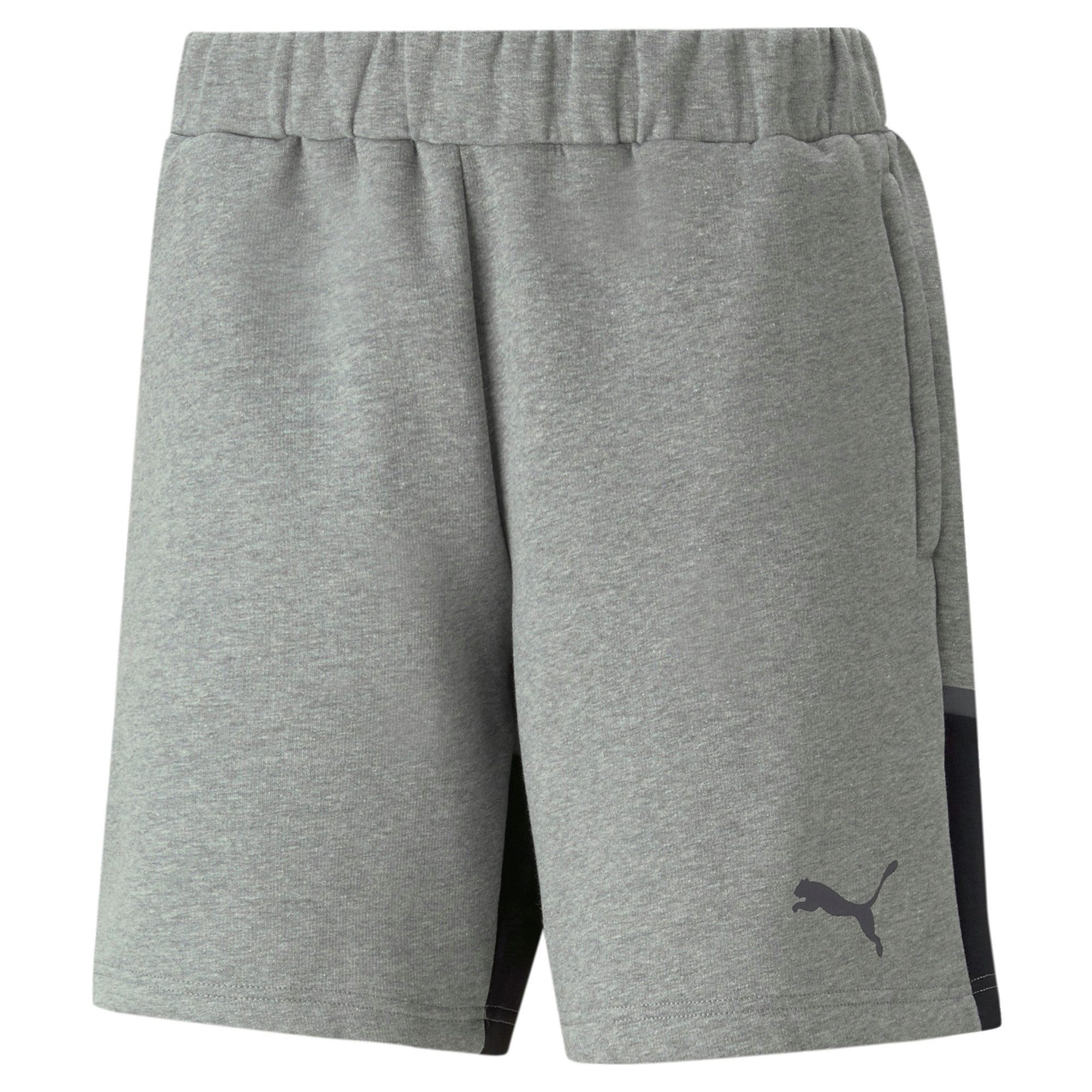 PUMA Trainingsshorts Puma Herren Shorts teamCUP günstig online kaufen