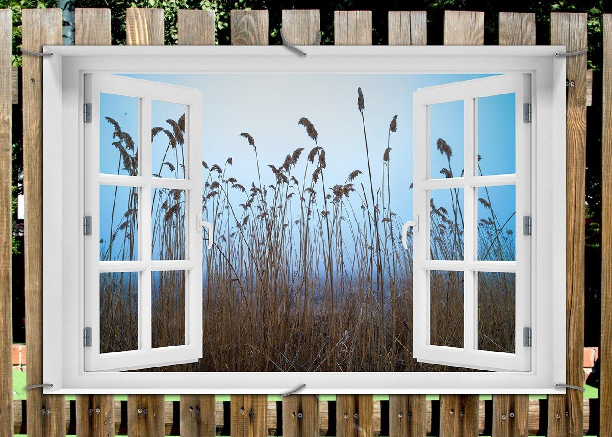 Thumbnail - Wallario Sichtschutzzaunmatten Schilfrohr am See vor blauem Himmel, mit Fenster-Illusion