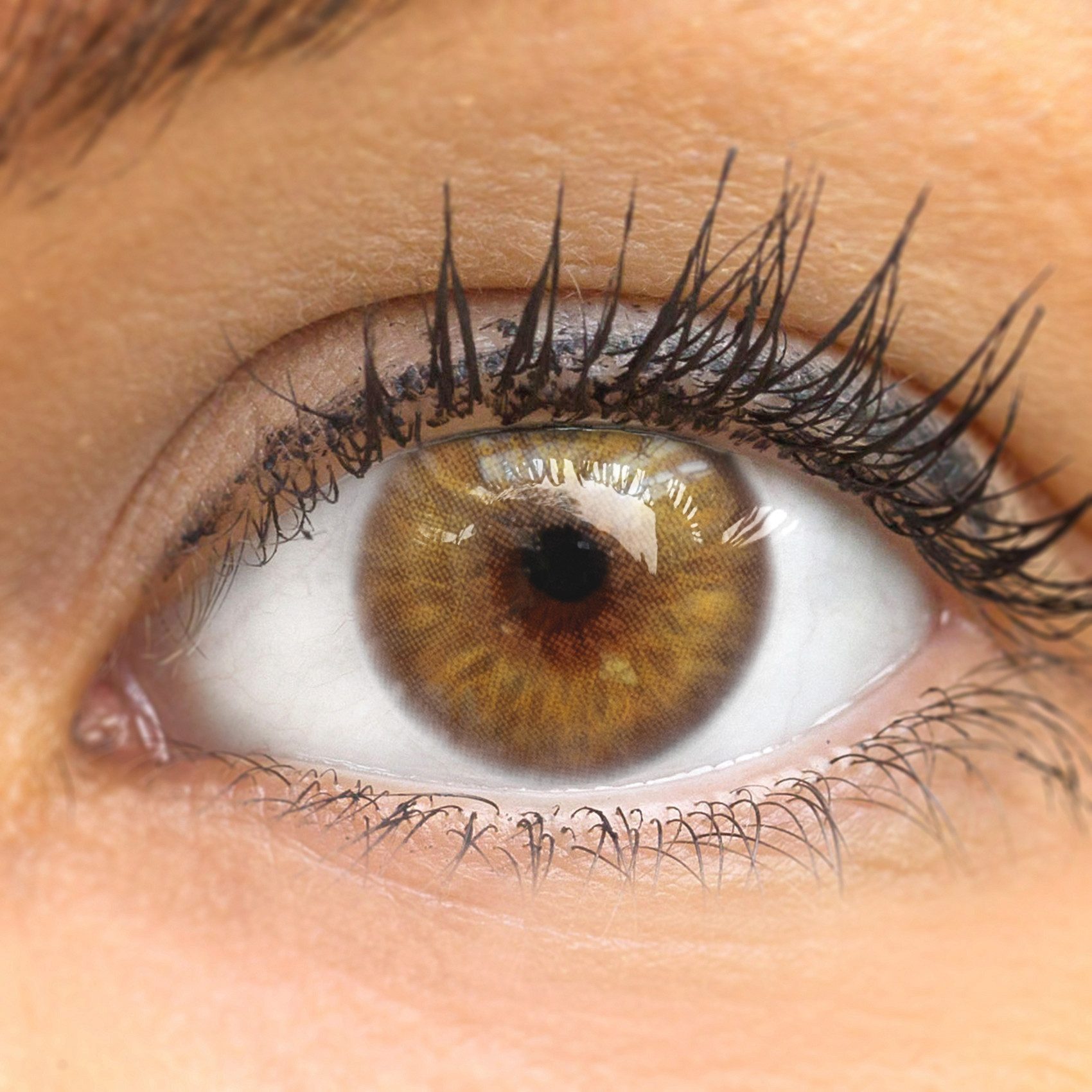 GLAMLENS Monatslinsen Monatslinsen natürliche Braune/Hazel Контактные линзы "Ronda Hazel"