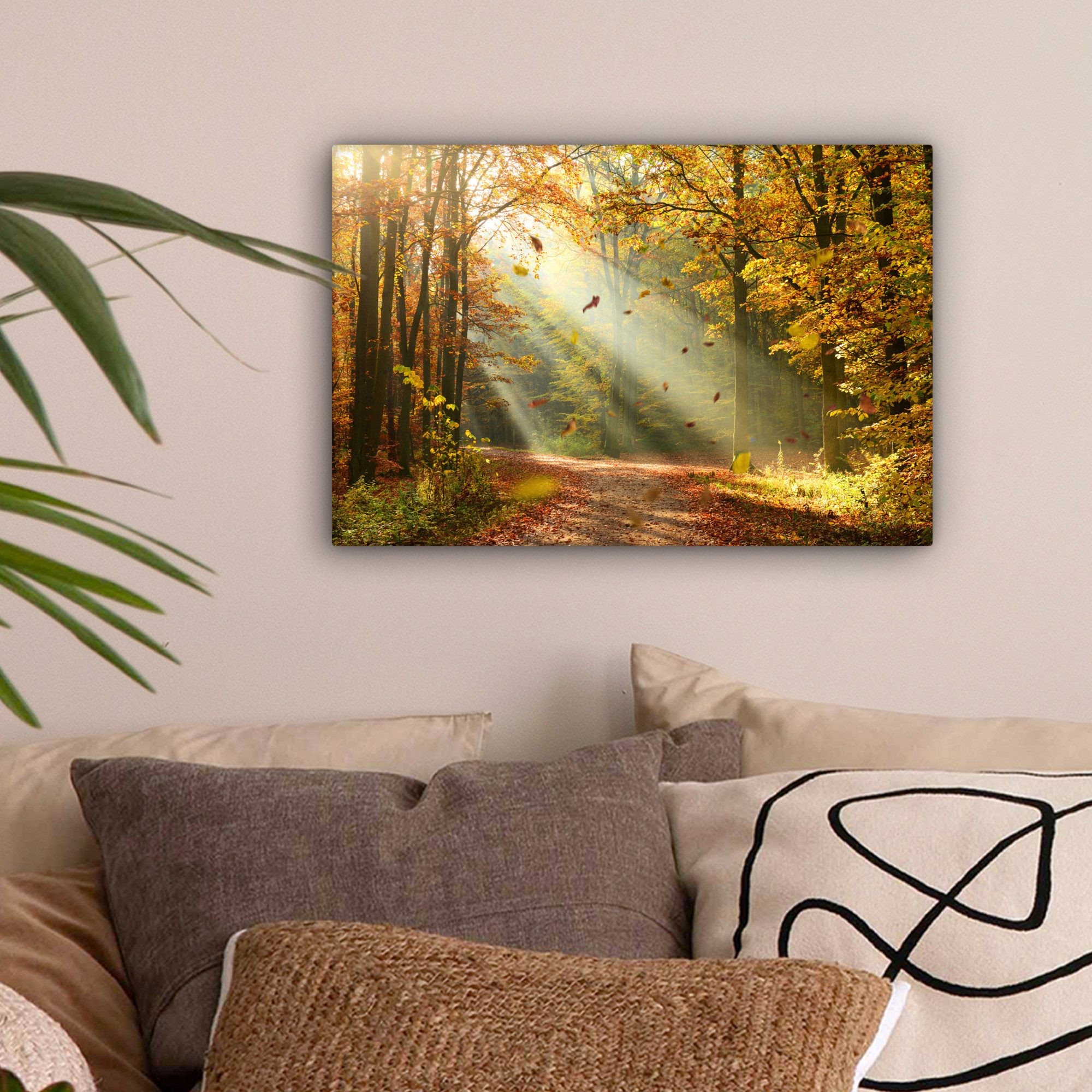OneMillionCanvasses® Leinwandbild Wald - Bäume - Herbst - Sonne - Herbstblä günstig online kaufen