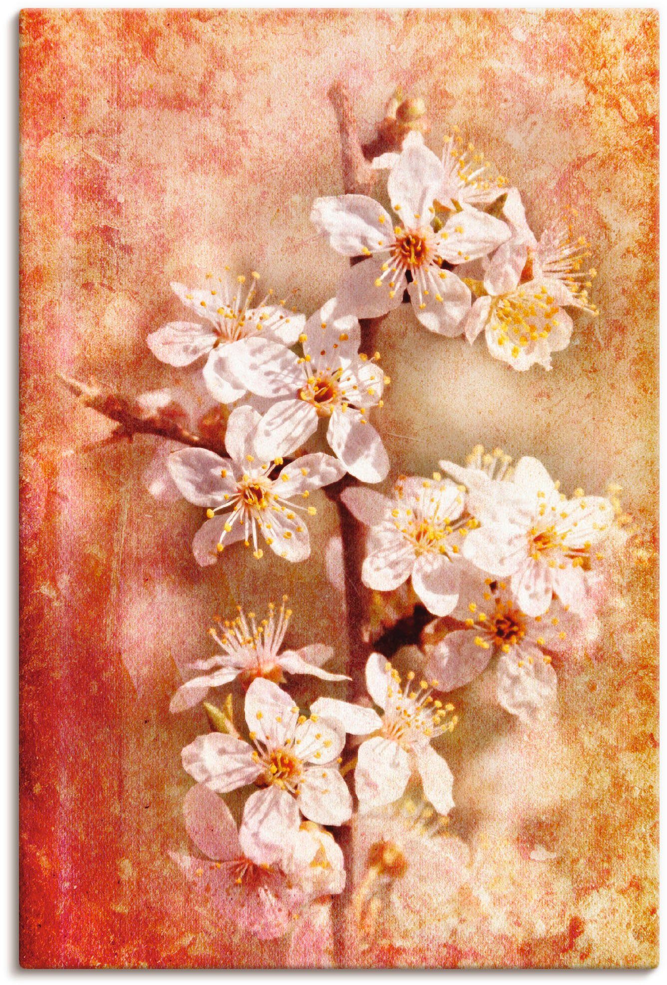 Artland Wandbild Kirschblüten, Blumen (1 St), als Leinwandbild, Poster in verschied. Größen