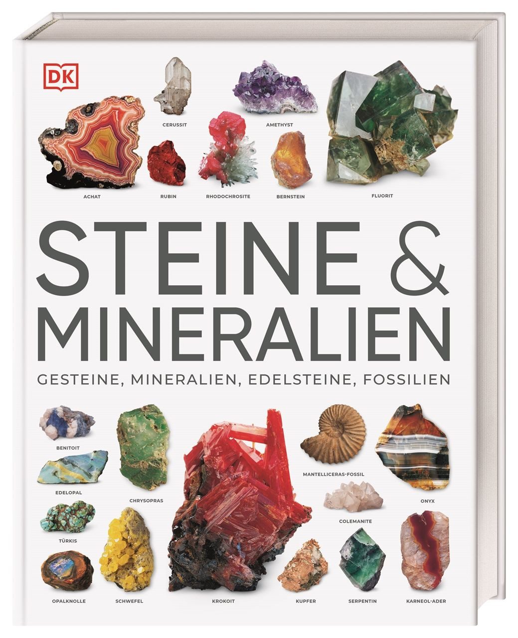Steine & Mineralien / Ronald L. Bonewitz, Über 500 faszinierende Gesteine, Minerale, Edelsteine und Fossilien. Mit mehr als 1200 spektakulären Farbfotos