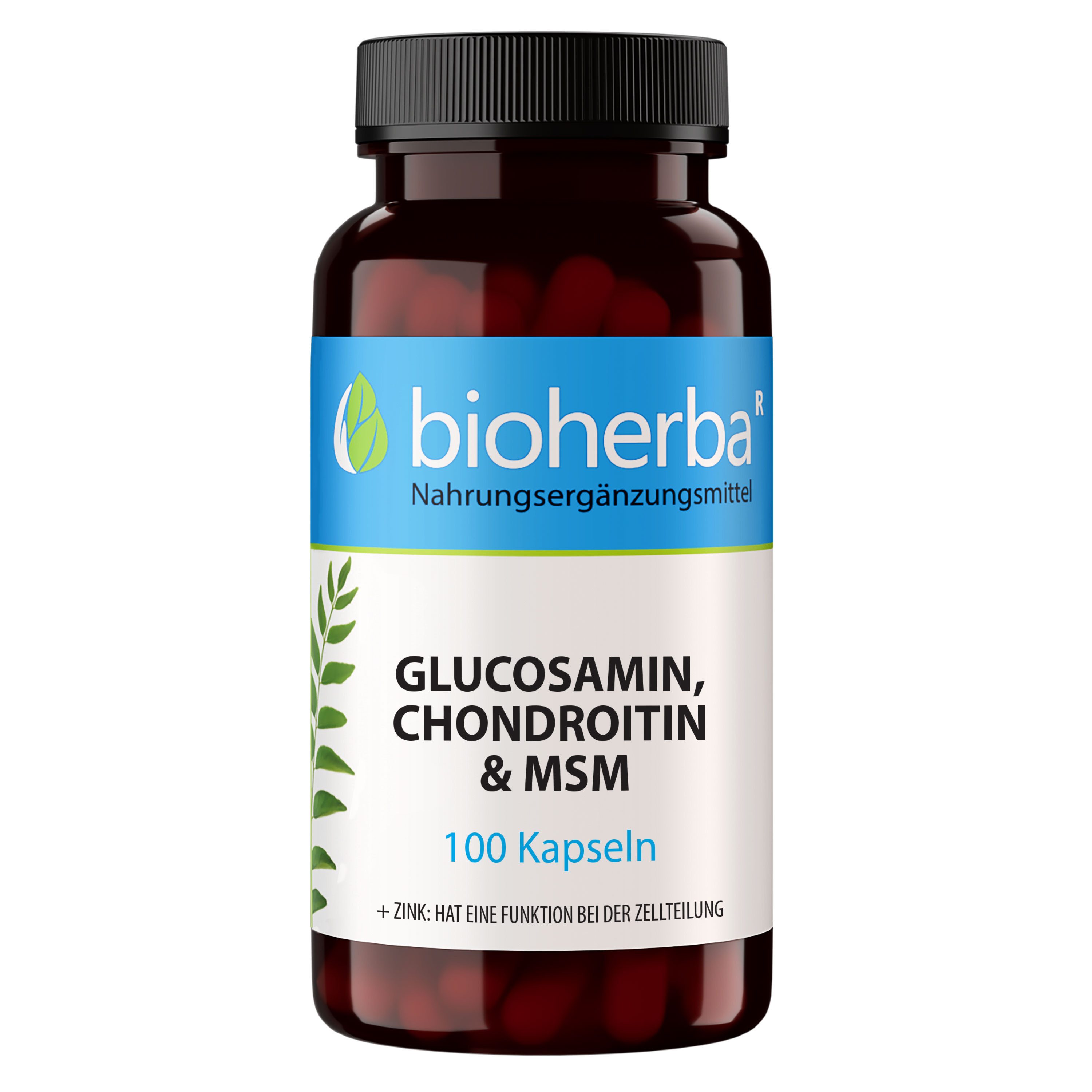 BIOHERBA R Bioherba Glucosamin, Chondroitin & MSM 100 Kapseln Nahrungsergänzungsmittel, 1 er