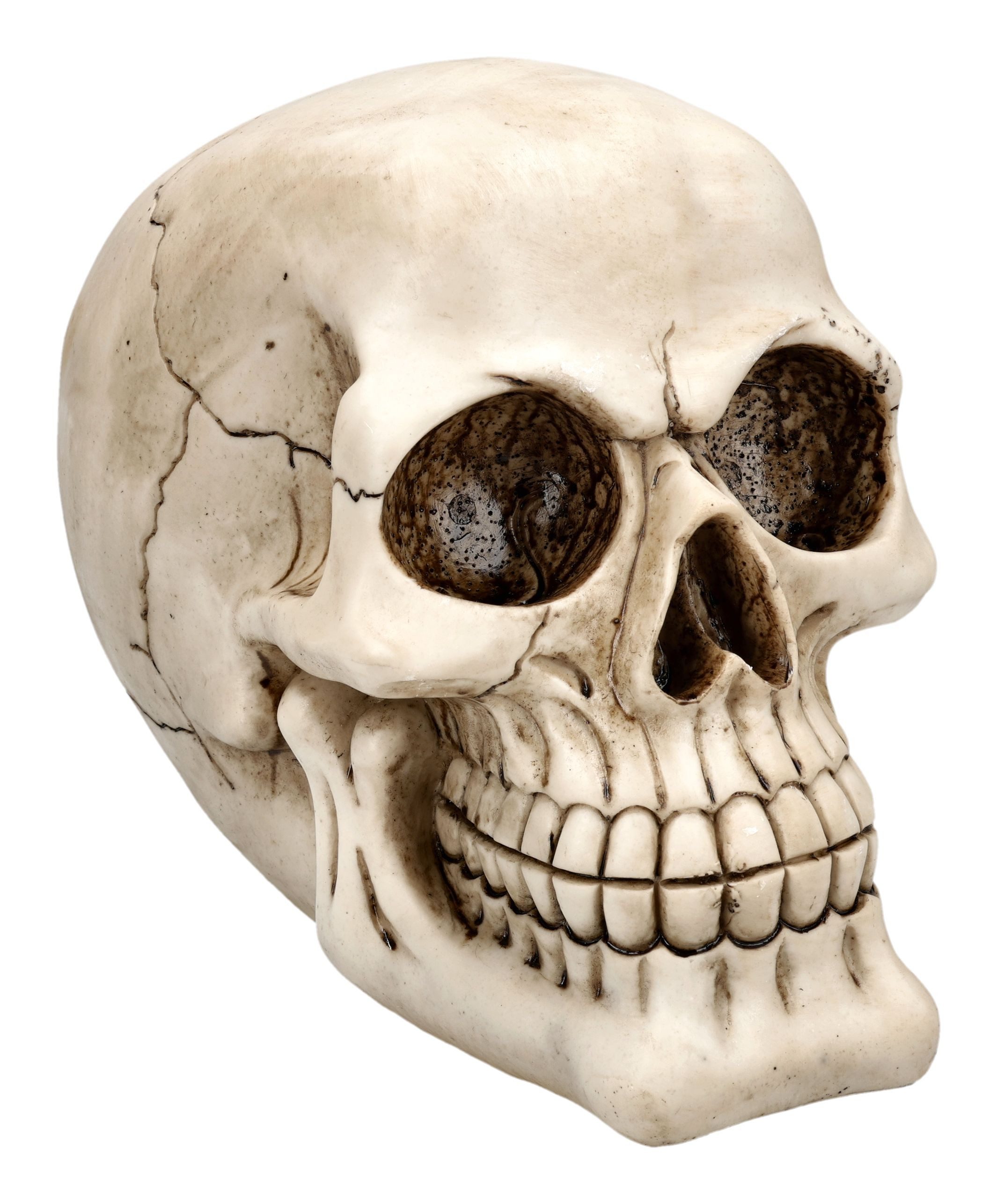 Dekofigur Totenkopf Skulptur – realistischer Schädel Horror Gothic Deko 19 cm