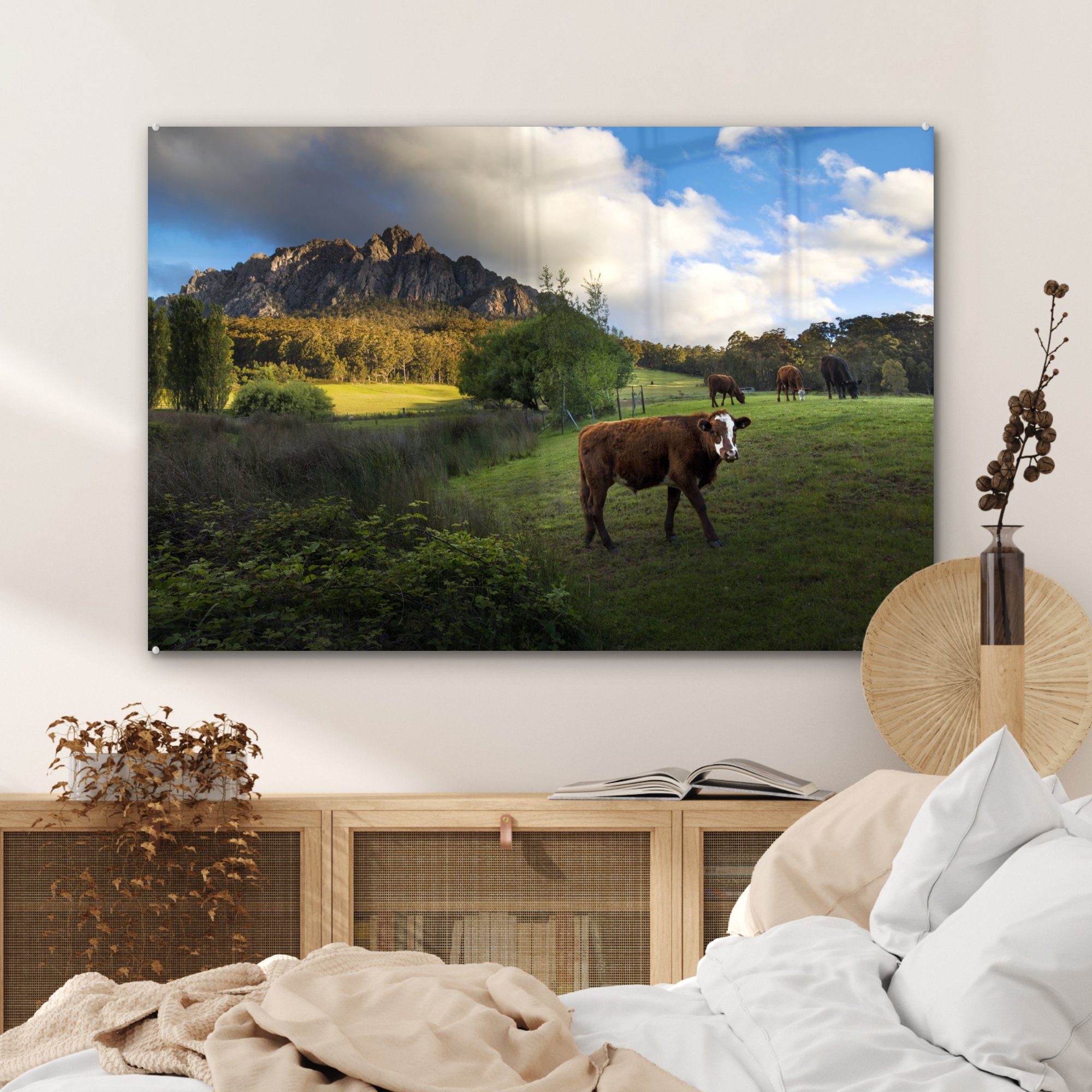 Kühe Wohnzimmer (1 Acrylglasbilder MuchoWow Gras - - Acrylglasbild St), & Australien, Schlafzimmer