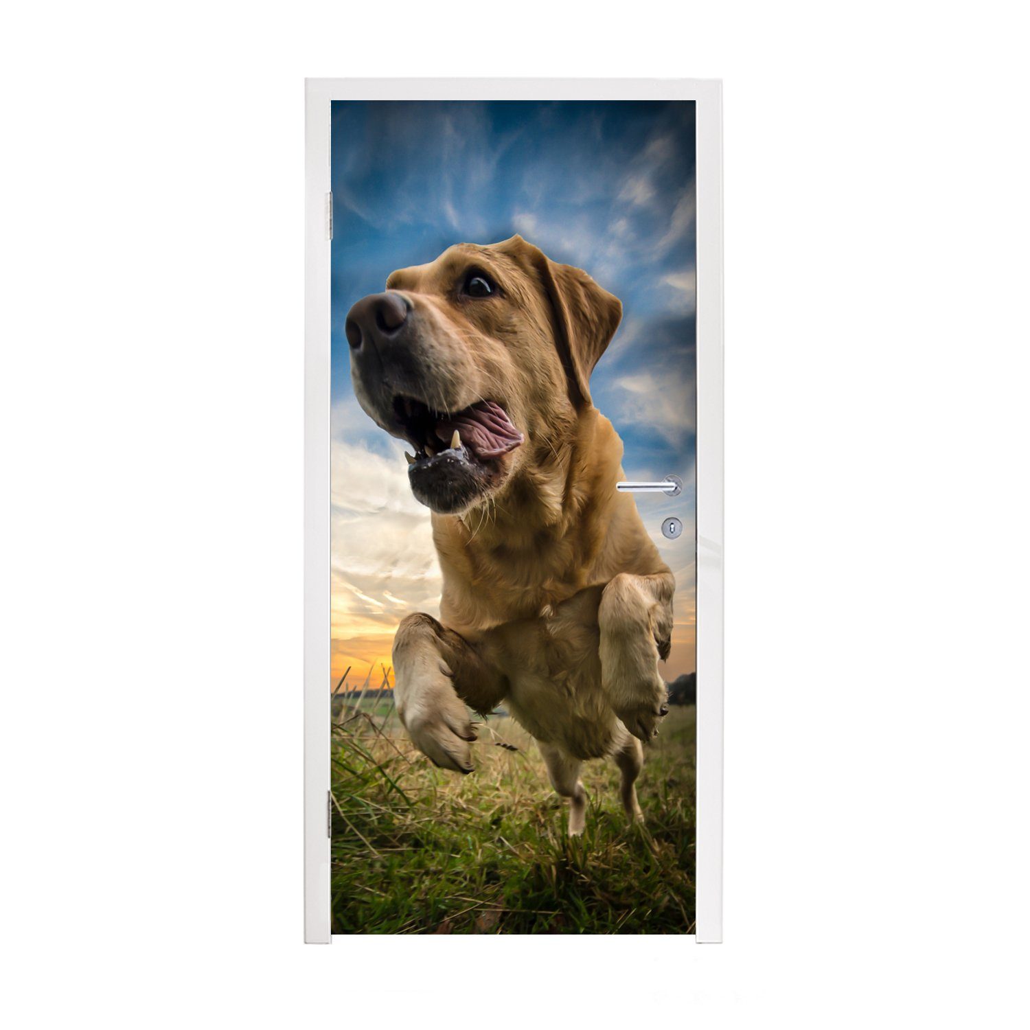MuchoWow Türtapete Bunter Himmel über diesem Labrador Retriever, Matt, bedruckt, (1 St), Fototapete für Tür, Türaufkleber, 75x205 cm