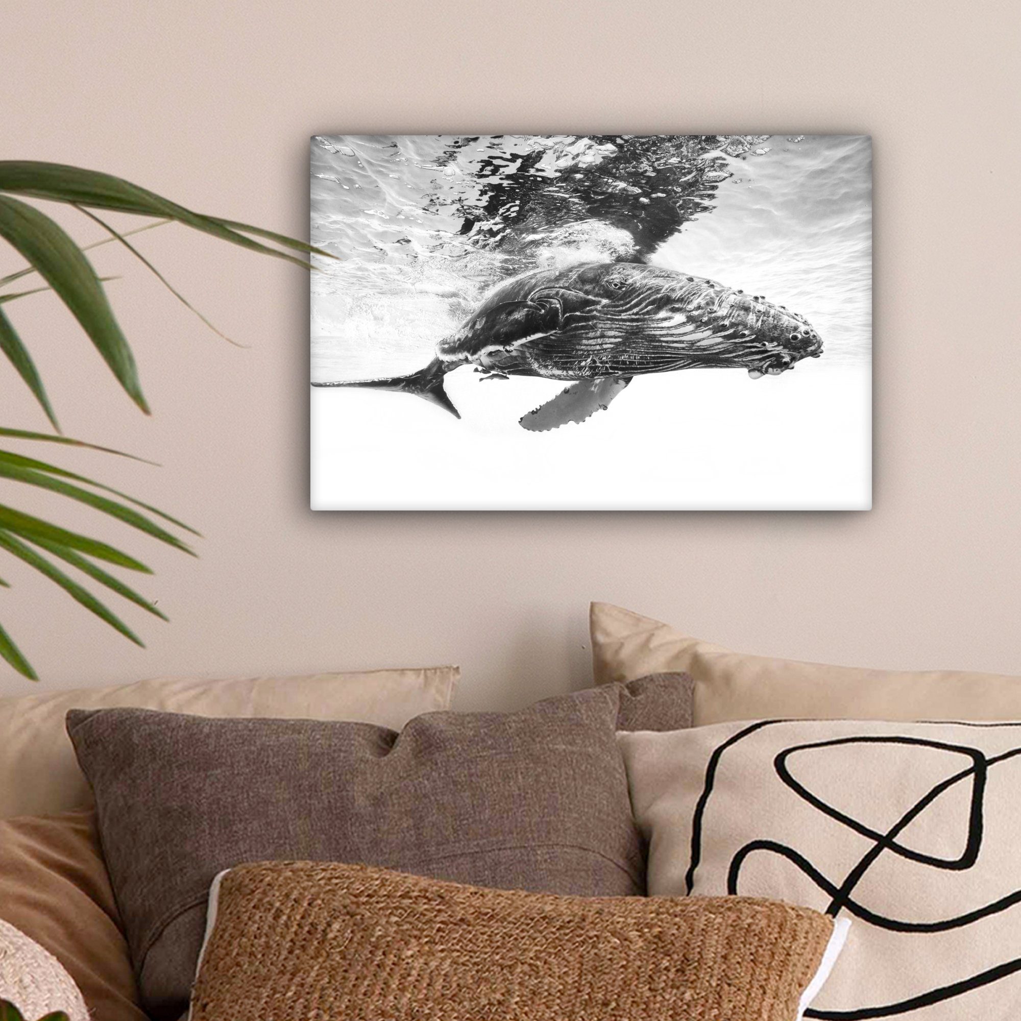 OneMillionCanvasses® Leinwandbild Wal - Wasser - günstig online kaufen