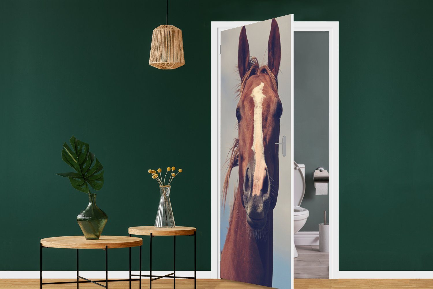 Pferd für 75x205 - Fototapete - Porträt, (1 cm St), Matt, Wolken Türtapete Türaufkleber, bedruckt, MuchoWow Tür,