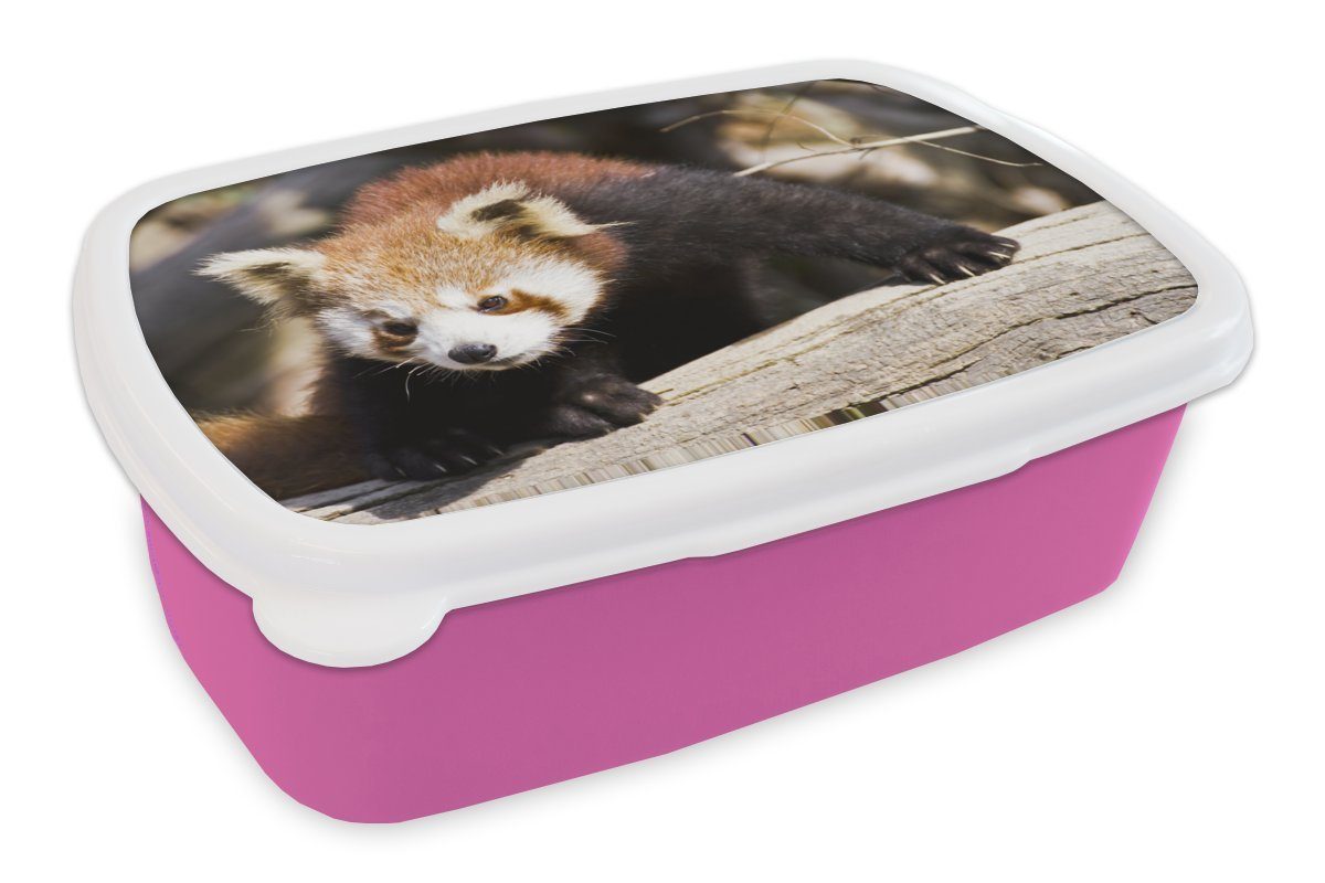 Kunststoff, Roter Panda Rüssel Tier, Mädchen, rosa (2-tlg), Kinder, Snackbox, Brotdose für Brotbox Erwachsene, - MuchoWow Kunststoff Lunchbox -
