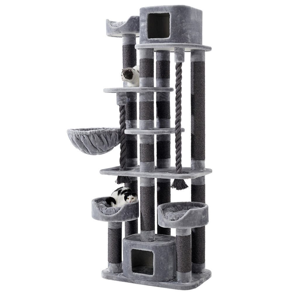 Nobby Kratzbaum Kyla XL