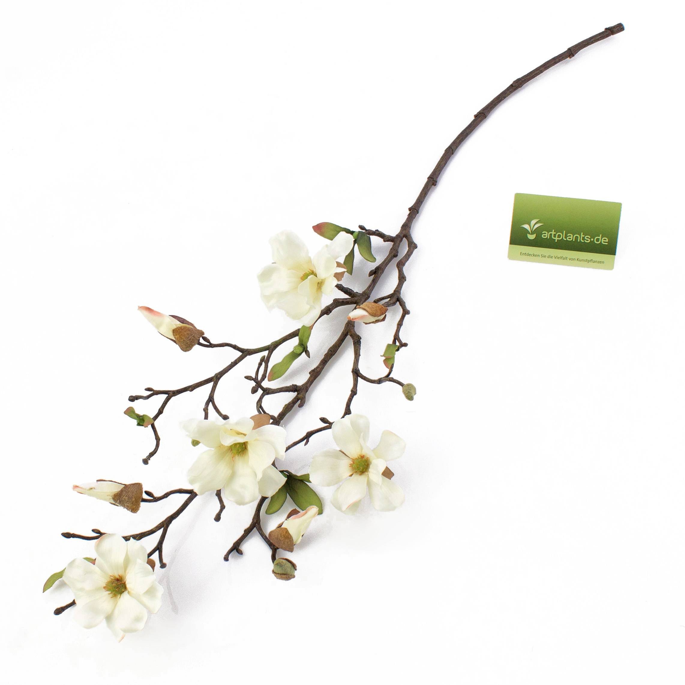 Kunstzweig Kunstblume Magnolienzweig LILO, 4 Blüten, Knospen, Creme - weiß, 75cm Magnolie, artplants, Höhe 75.0 cm