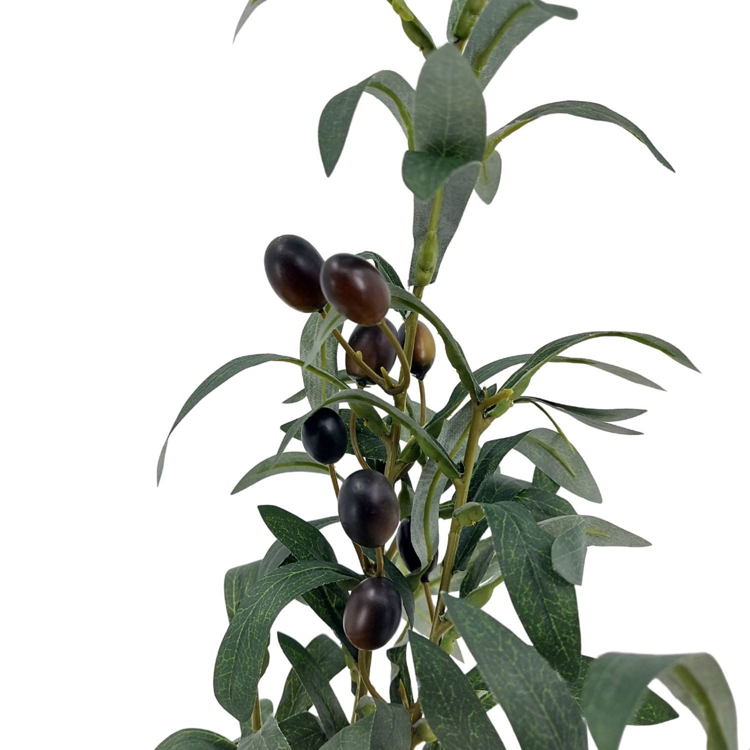 Kunstpflanze Olive, Emerald, Höhe 75 cm, Farbe: Grün