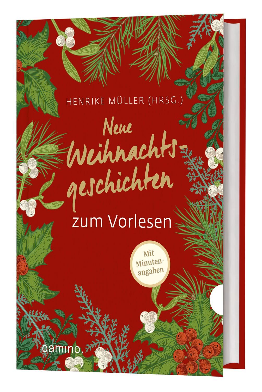 Neue Weihnachtsgeschichten zum Vorlesen / diverse