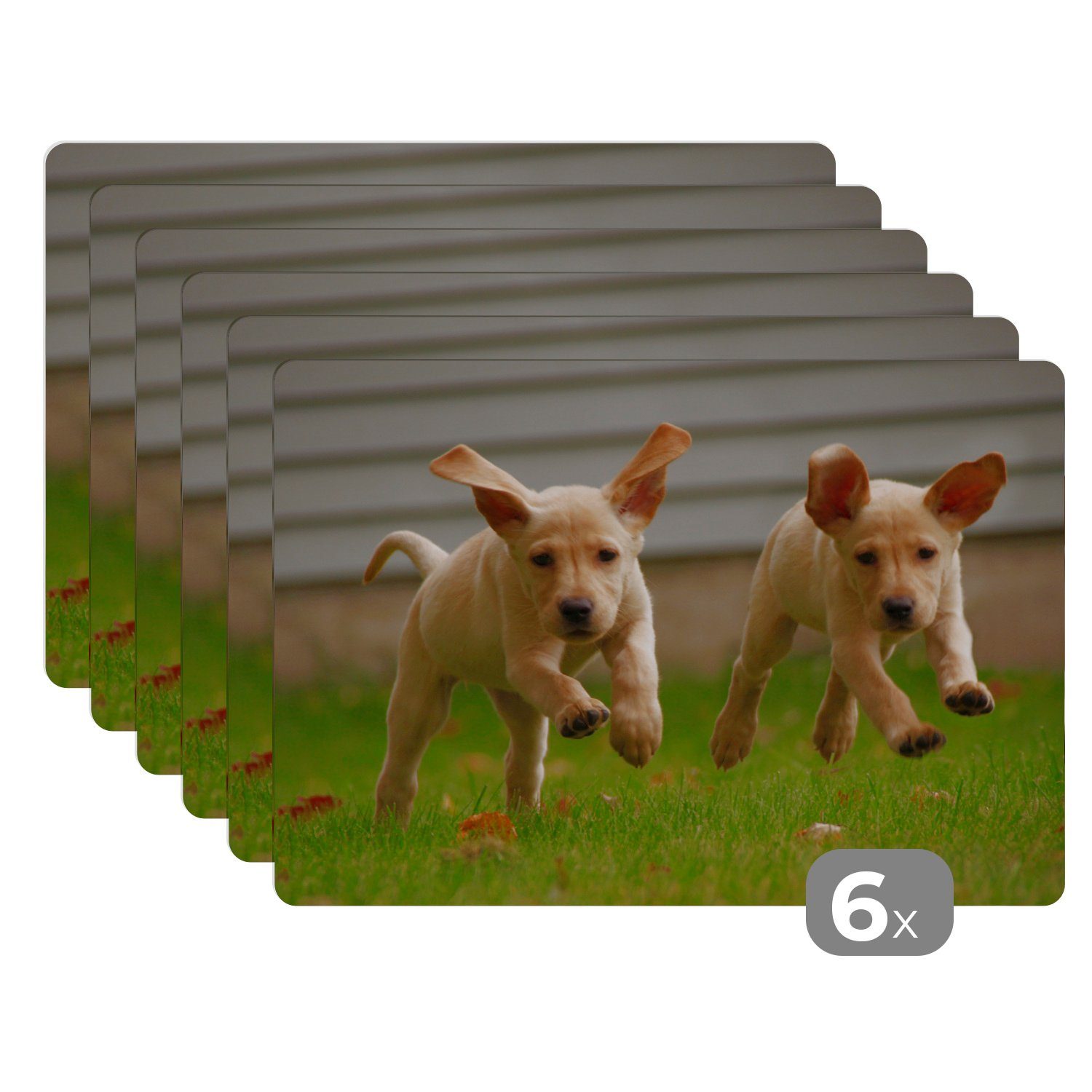 Platzset, Zwei gelbe Labrador Retriever laufen durch das Gras, MuchoWow, (6-St), Platzset, Platzdecken, Platzmatte, Tischmatten, Schmutzabweisend