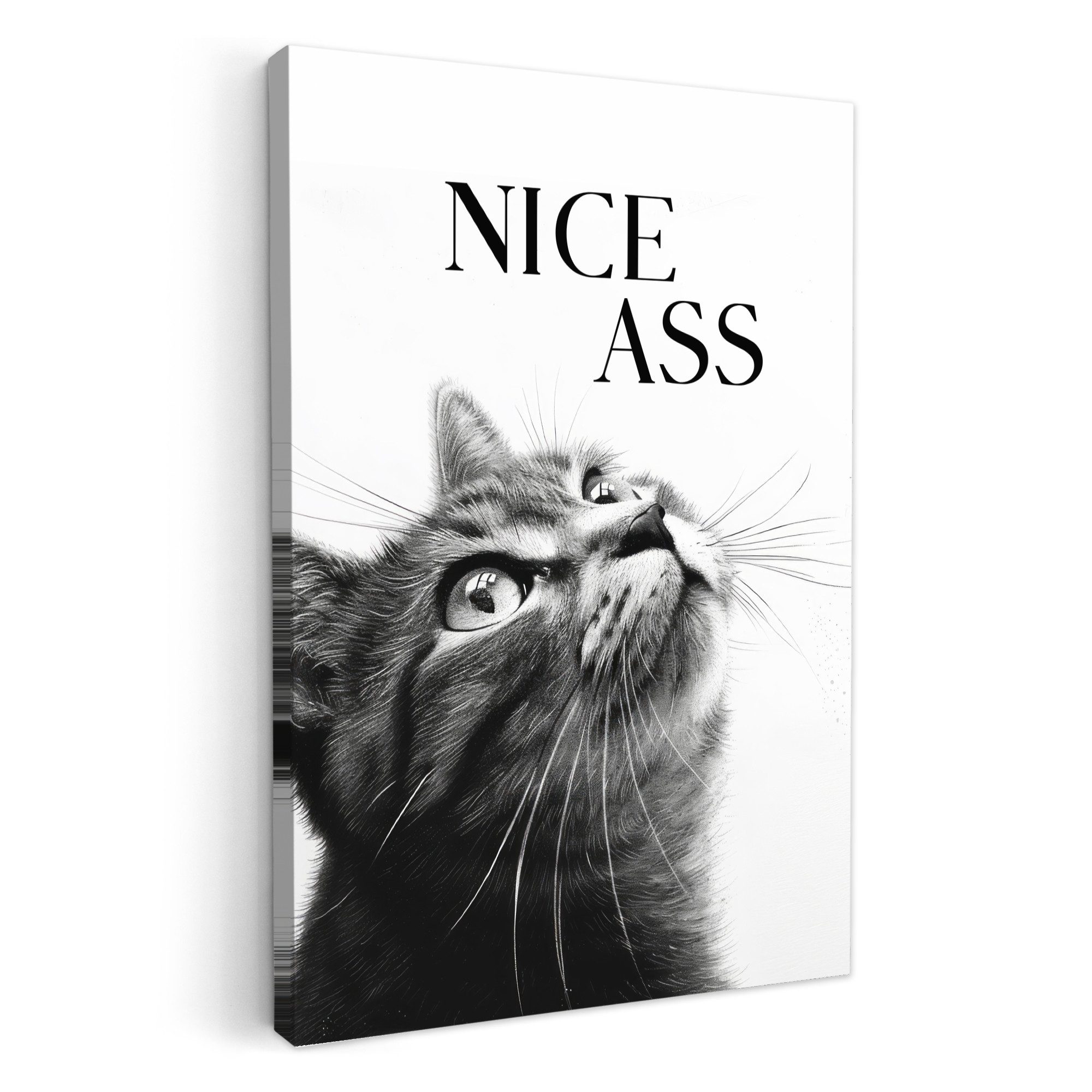 OneMillionCanvasses® Leinwandbild Katze - Nice ass günstig online kaufen