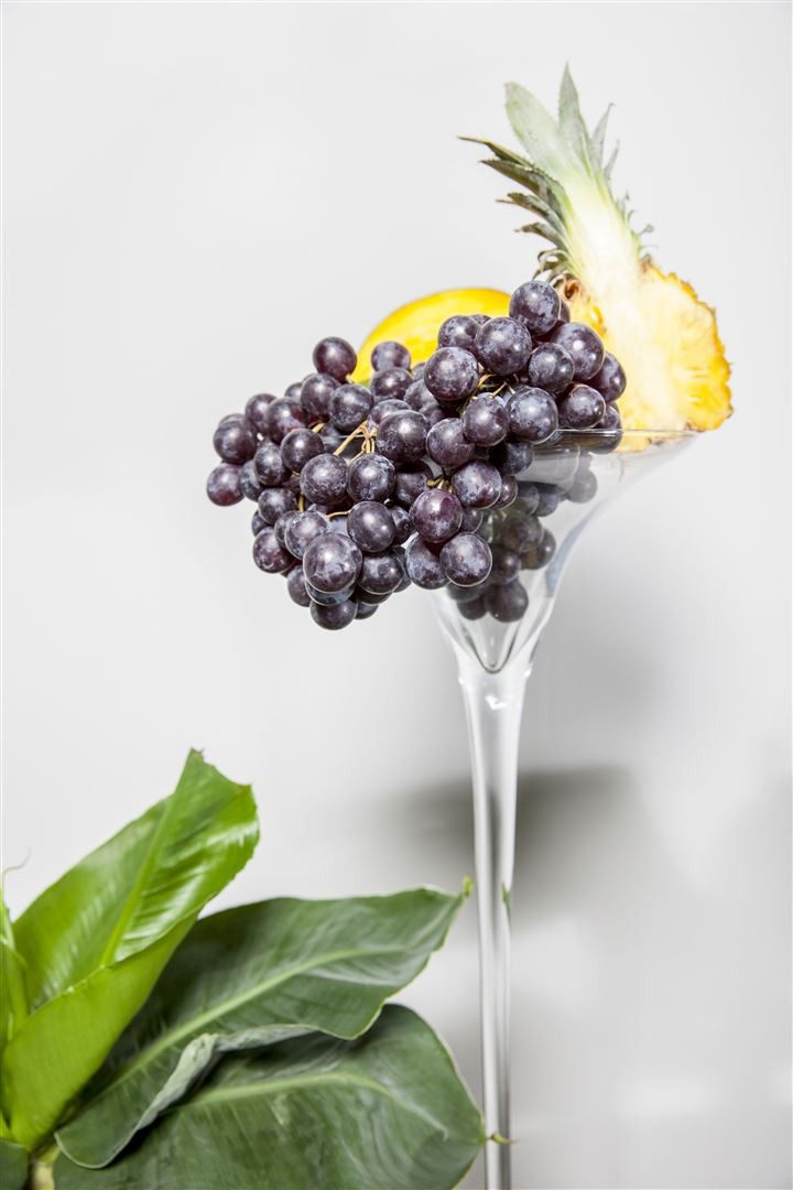 Pflanzen für Dich Obstpflanze Vitis vinifera blau, kernlos, 1 St., Weinrebe, Tafeltraube, blaue Beeren, kernlos – Bild 4 von 5