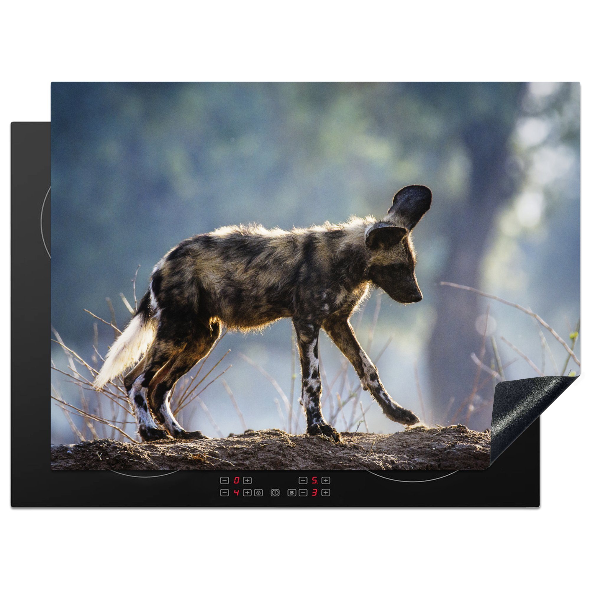 MuchoWow Herdblende-/Abdeckplatte Afrikanischer Wildhundewelpe im Mana nutzbar, Arbeitsfläche (1 Pools Park Simbabwe, tlg), Ceranfeldabdeckung cm, Mobile Vinyl, National 70x52 in