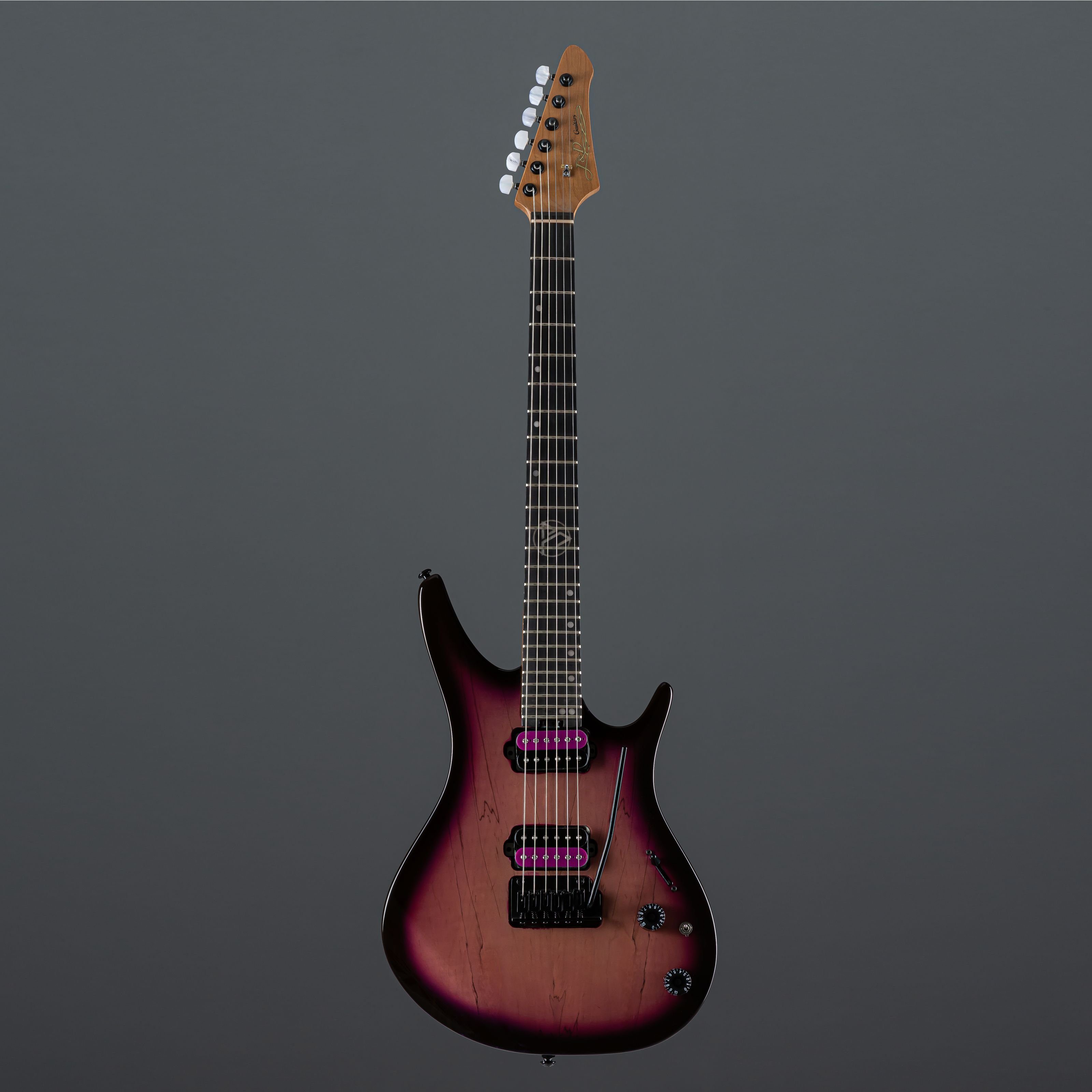 J & D E-Gitarre, DX-100DM E-Gitarre Plum Burst Finish Ergonomischer Korpus Roasted Maple Neck Custom Humbucker 2-Point Tremolo, E-Gitarren, ST-Modelle, DX-100DM E-Gitarre, Plum Burst Finish, Ergonomischer Korpus