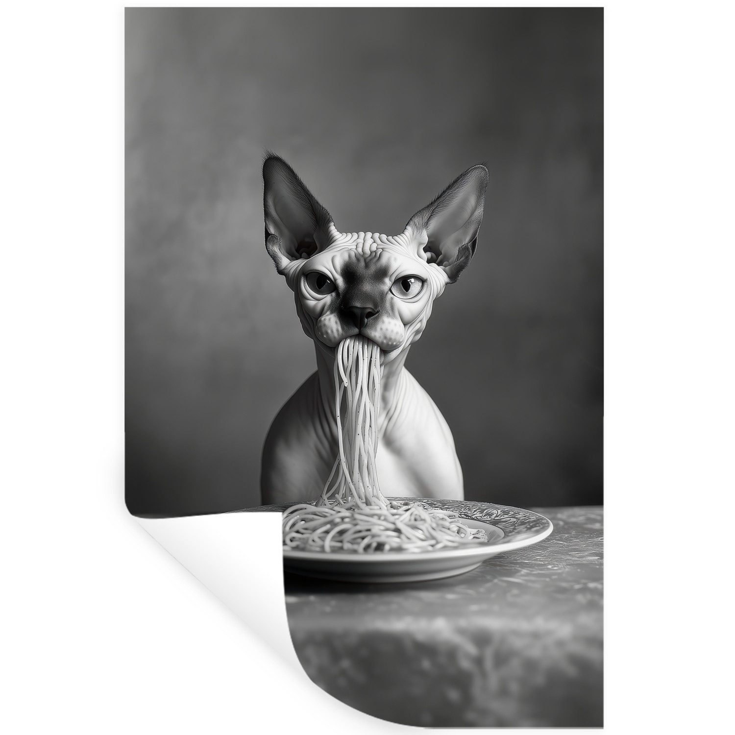MuchoWow Wandsticker Sphynx - Katze - Tiere - Humor - Spaghetti - Schwarz und Weiß (1 St), Wanddeko, Aufkleber, Wandtattoo, 80x120 cm