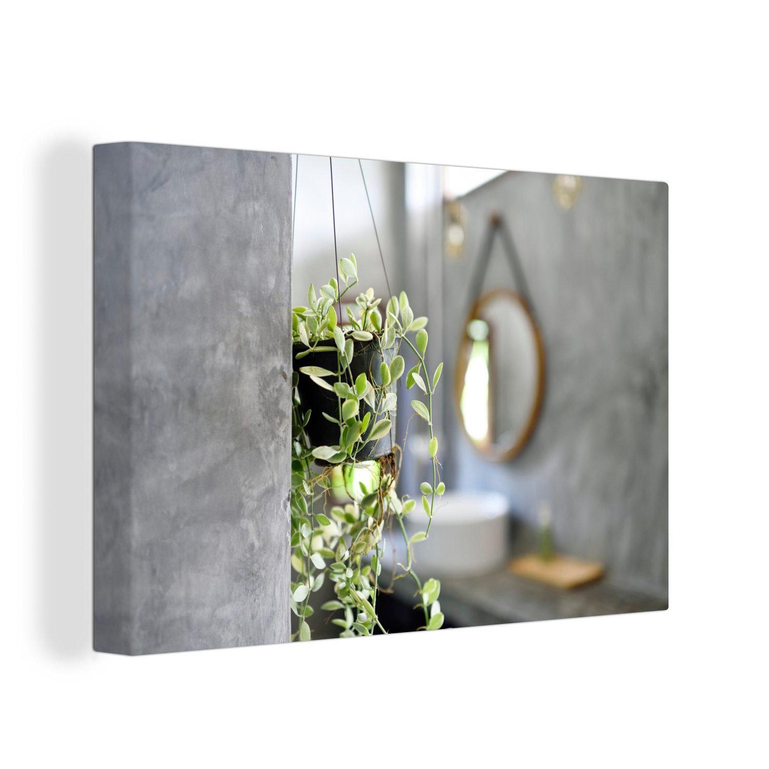 OneMillionCanvasses® Leinwandbild Kleine Hängepflanze im Badezimmer, Fotodruck (1 St), Leinwand Bilder Klein, Wand Dekoration Aesthetic 30x20 cm