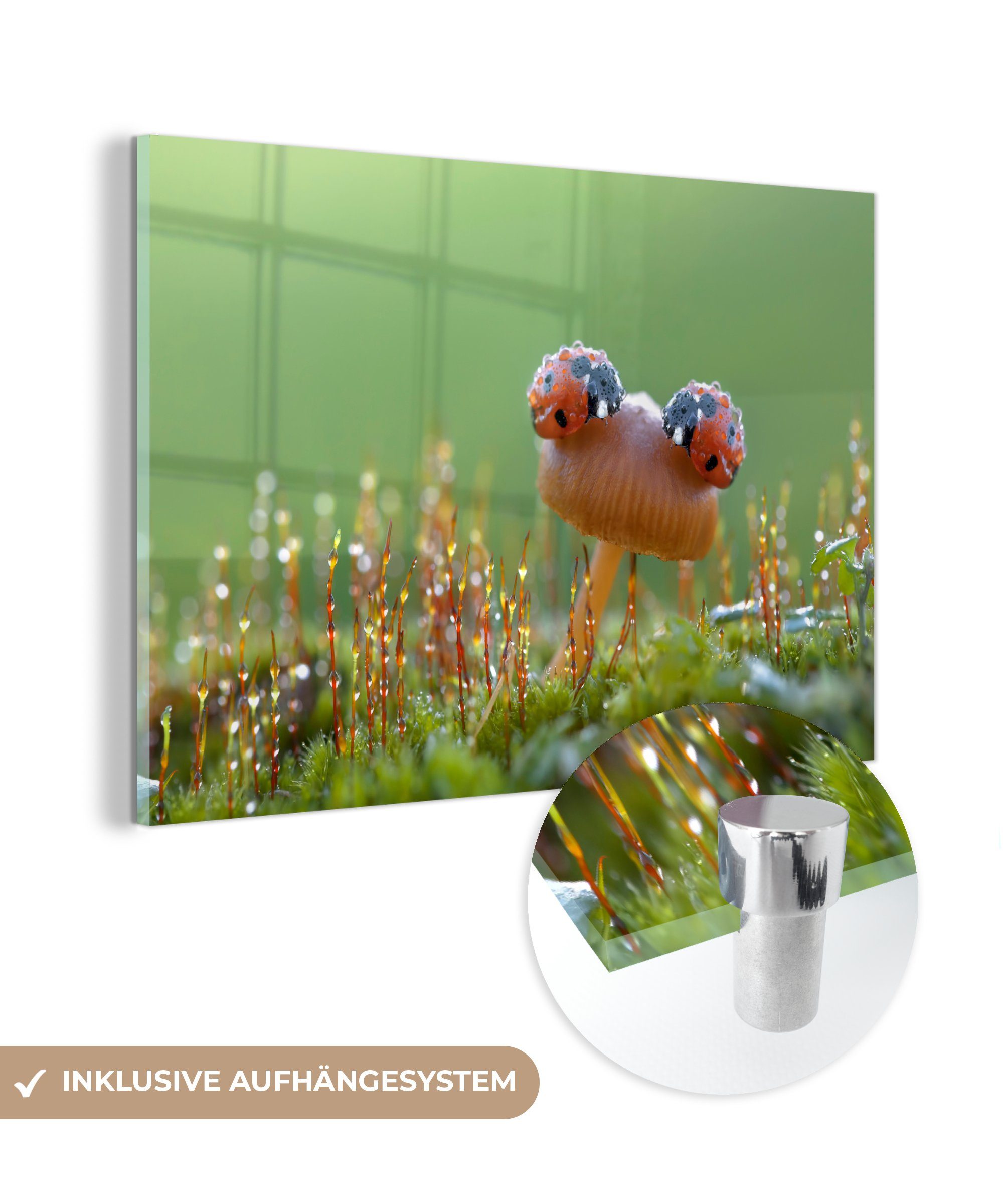 MuchoWow Acrylglasbild Herbst - Pilz - Marienkäfer, (1 St), Acrylglasbilder Wohnzimmer & Schlafzimmer